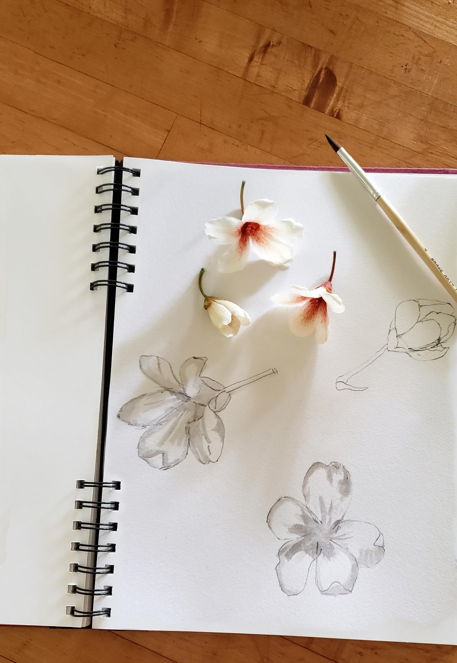 Sketchbook study life on the farm - image 2 - student project