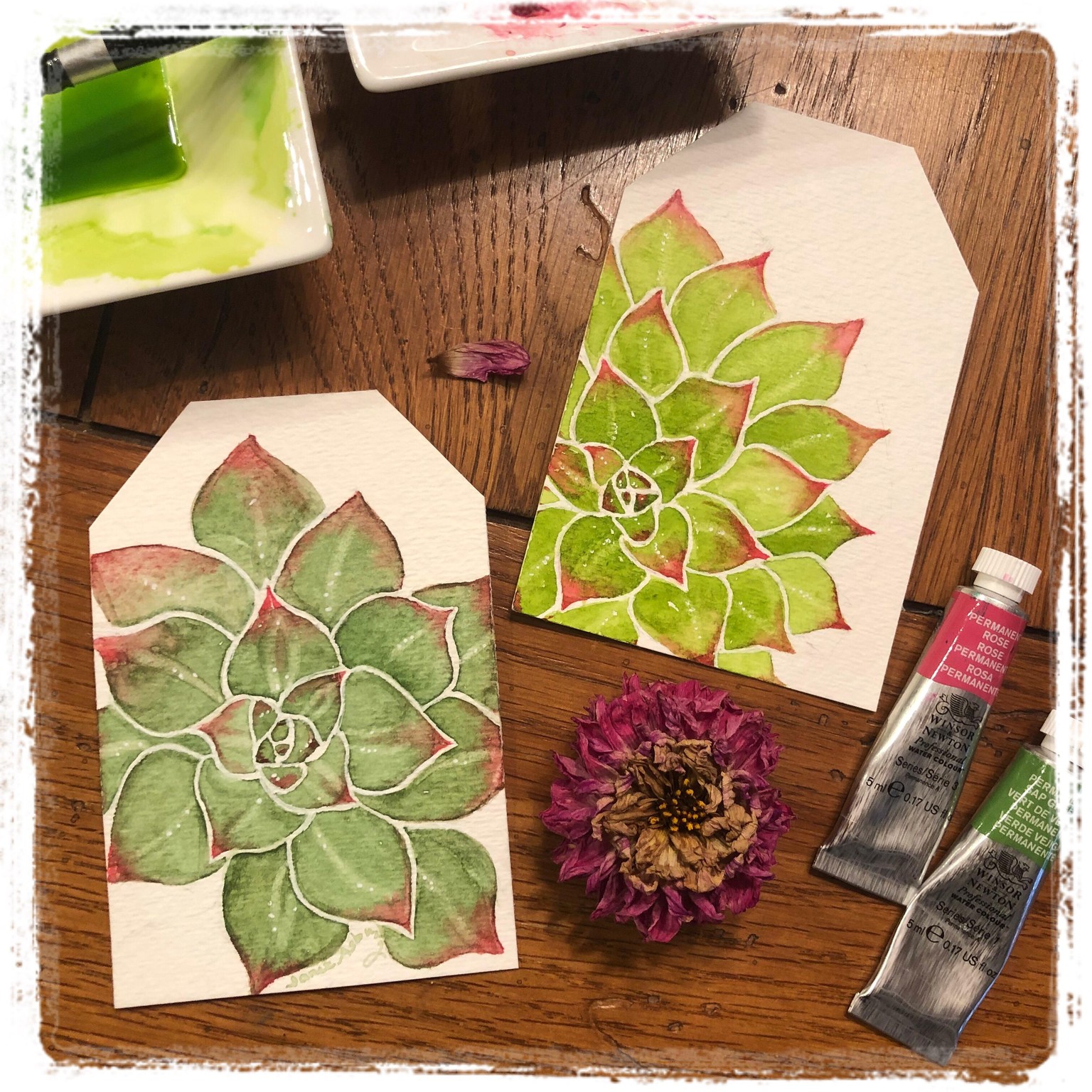 Succulent tags. - image 1 - student project