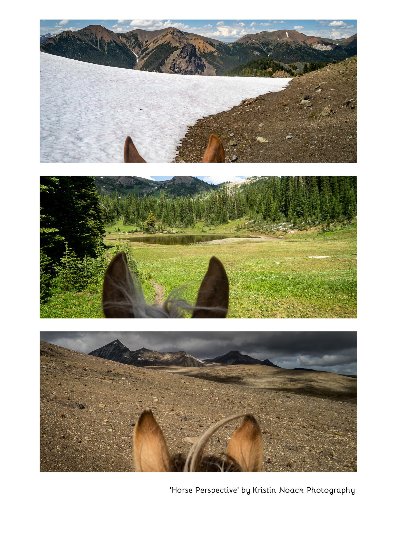 Triptych Practise - image 2 - student project