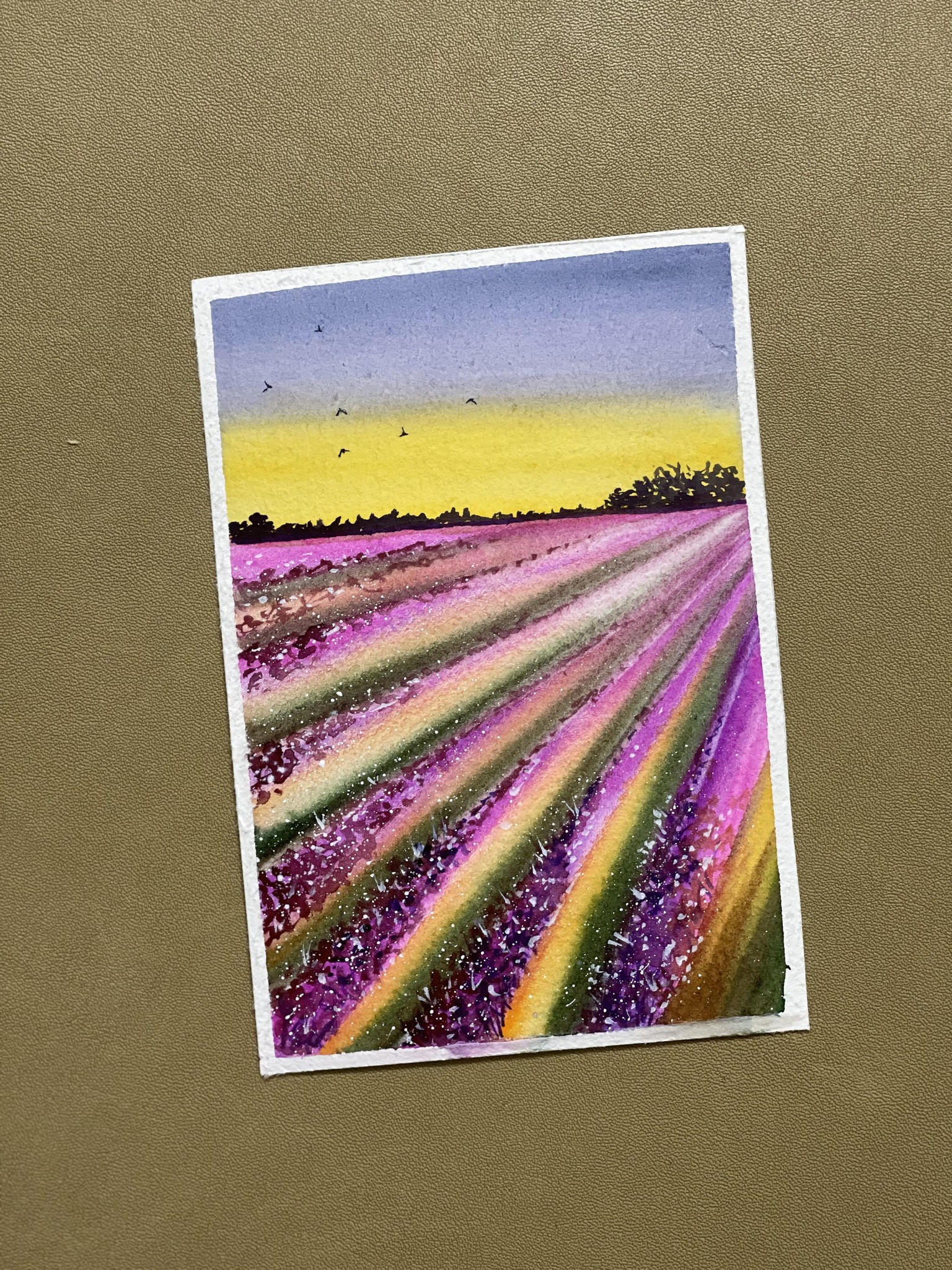 21 shades of sunset - image 15 - student project