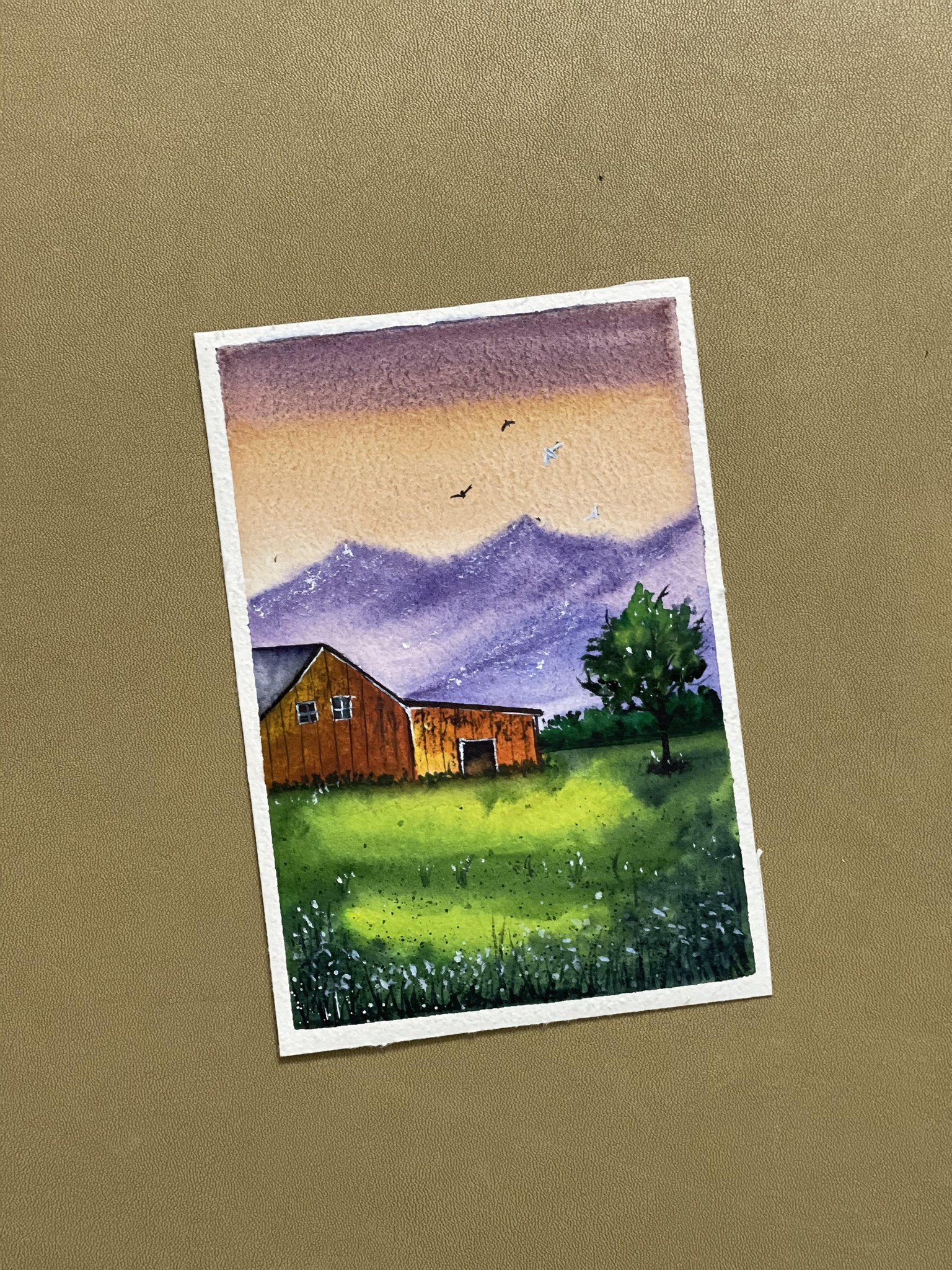 21 shades of sunset - image 10 - student project