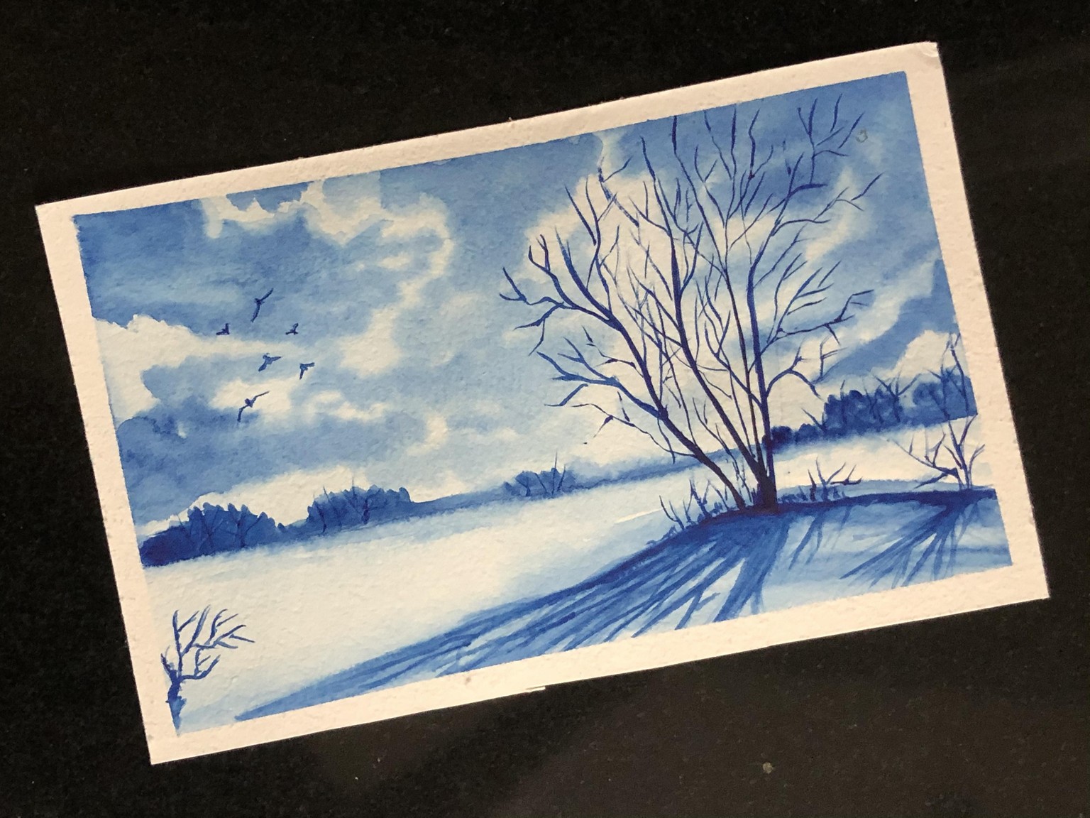 Exploring watercolors in monochrome by Dhritikana Nath - image 4 - student project