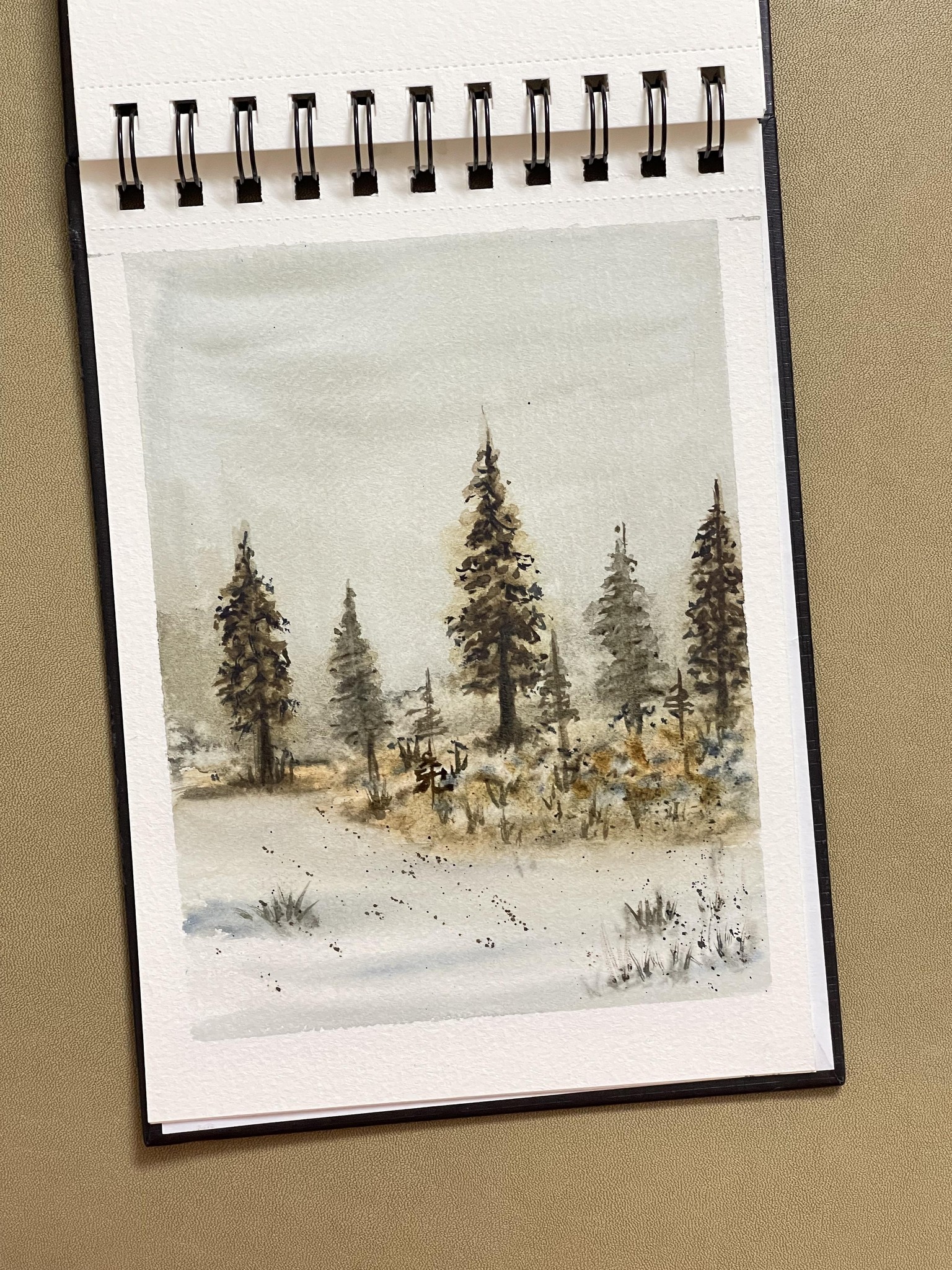 Moody landscapes by shanan - image 1 - student project