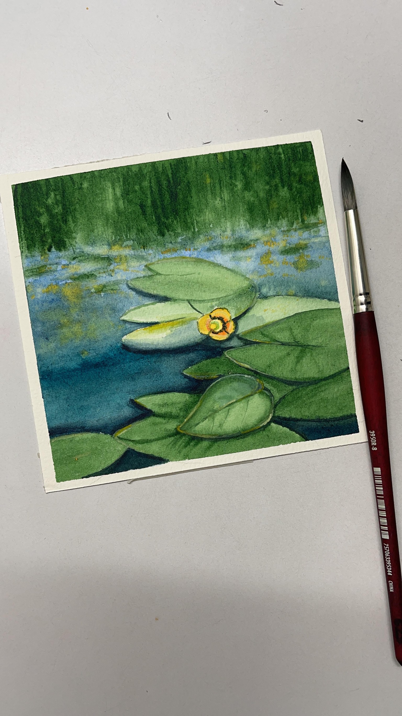 Water lily by ekaterina - image 1 - student project