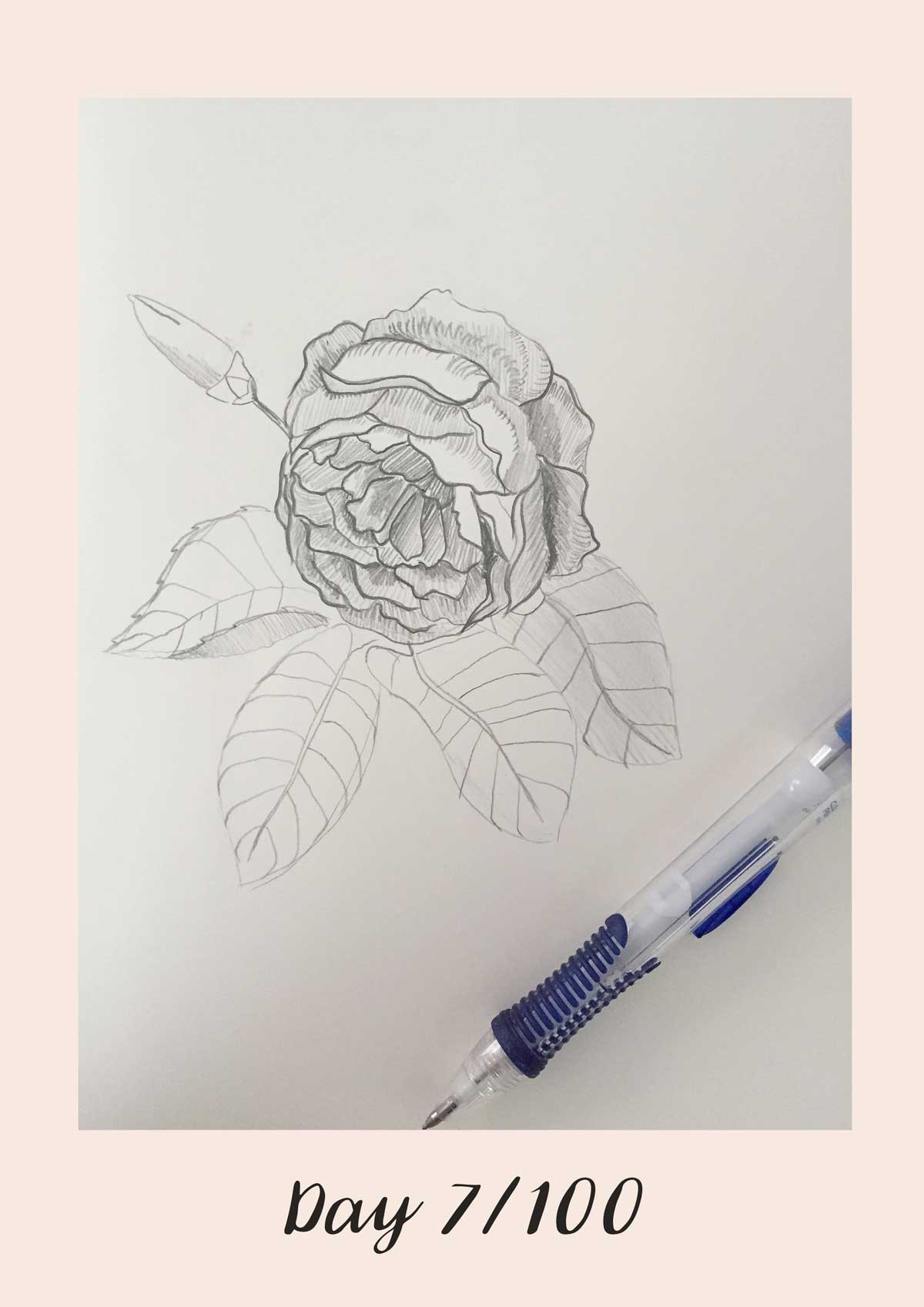 *COMPLETE* 100 Days of Sketching (Updated March 10th, Day 100/100) - image 8 - student project