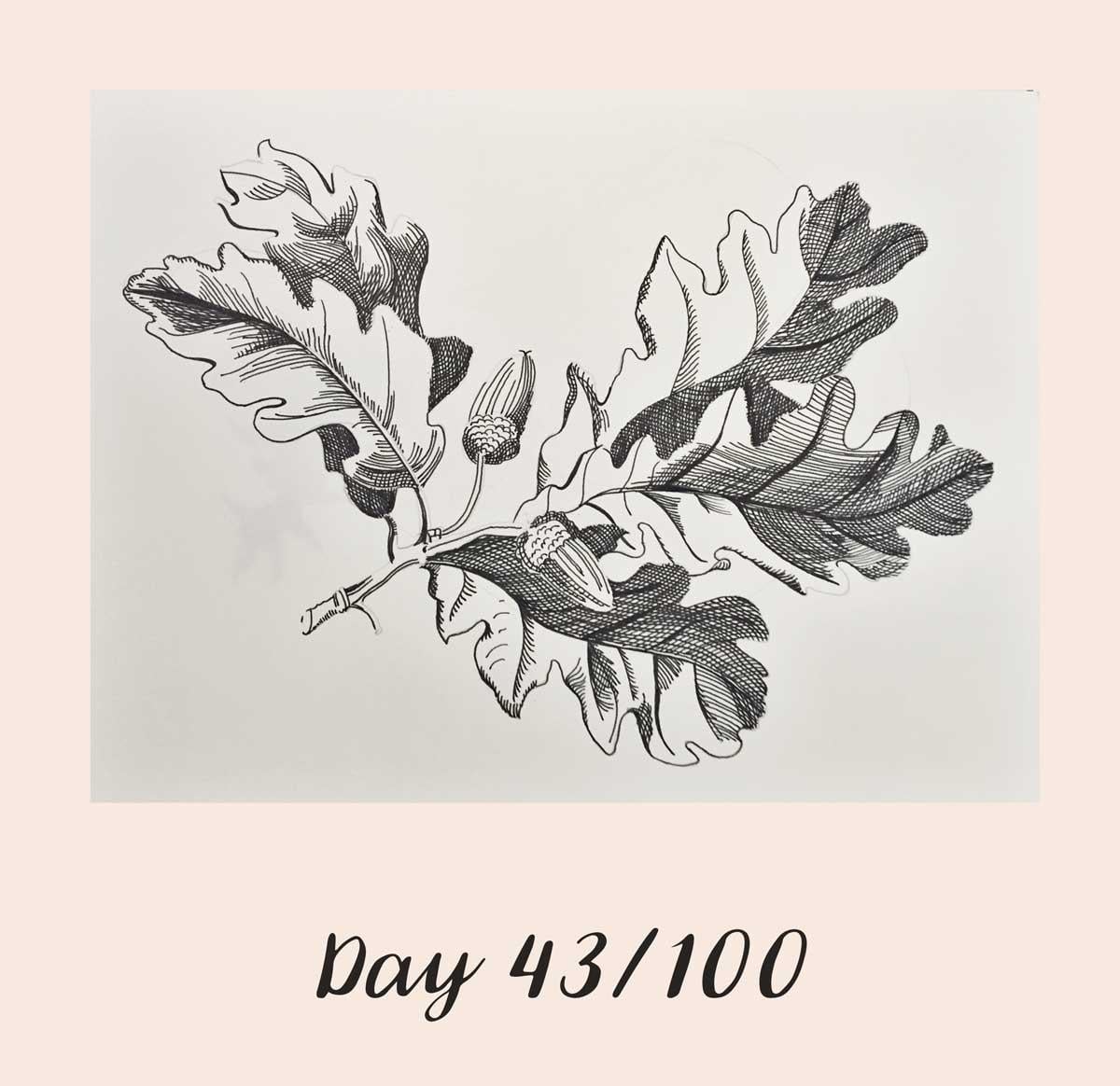 *COMPLETE* 100 Days of Sketching (Updated March 10th, Day 100/100) - image 39 - student project