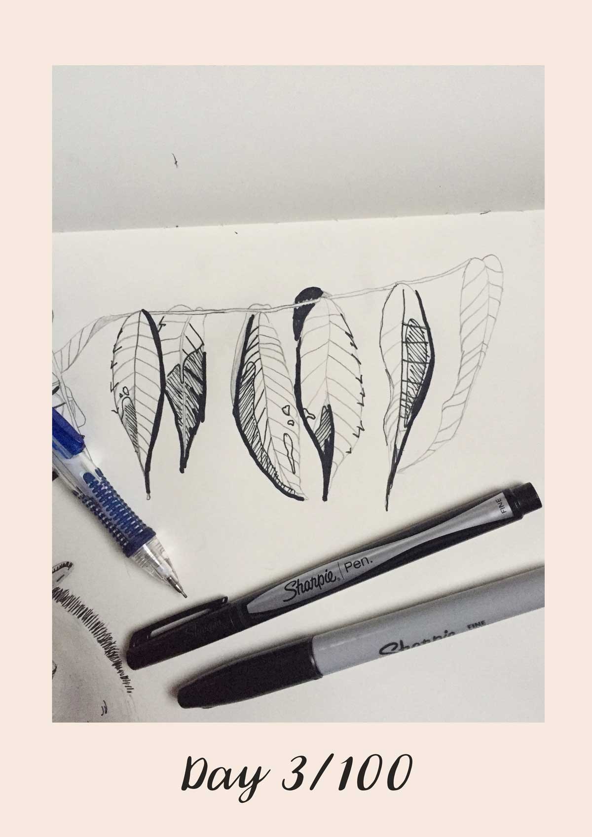 *COMPLETE* 100 Days of Sketching (Updated March 10th, Day 100/100) - image 4 - student project