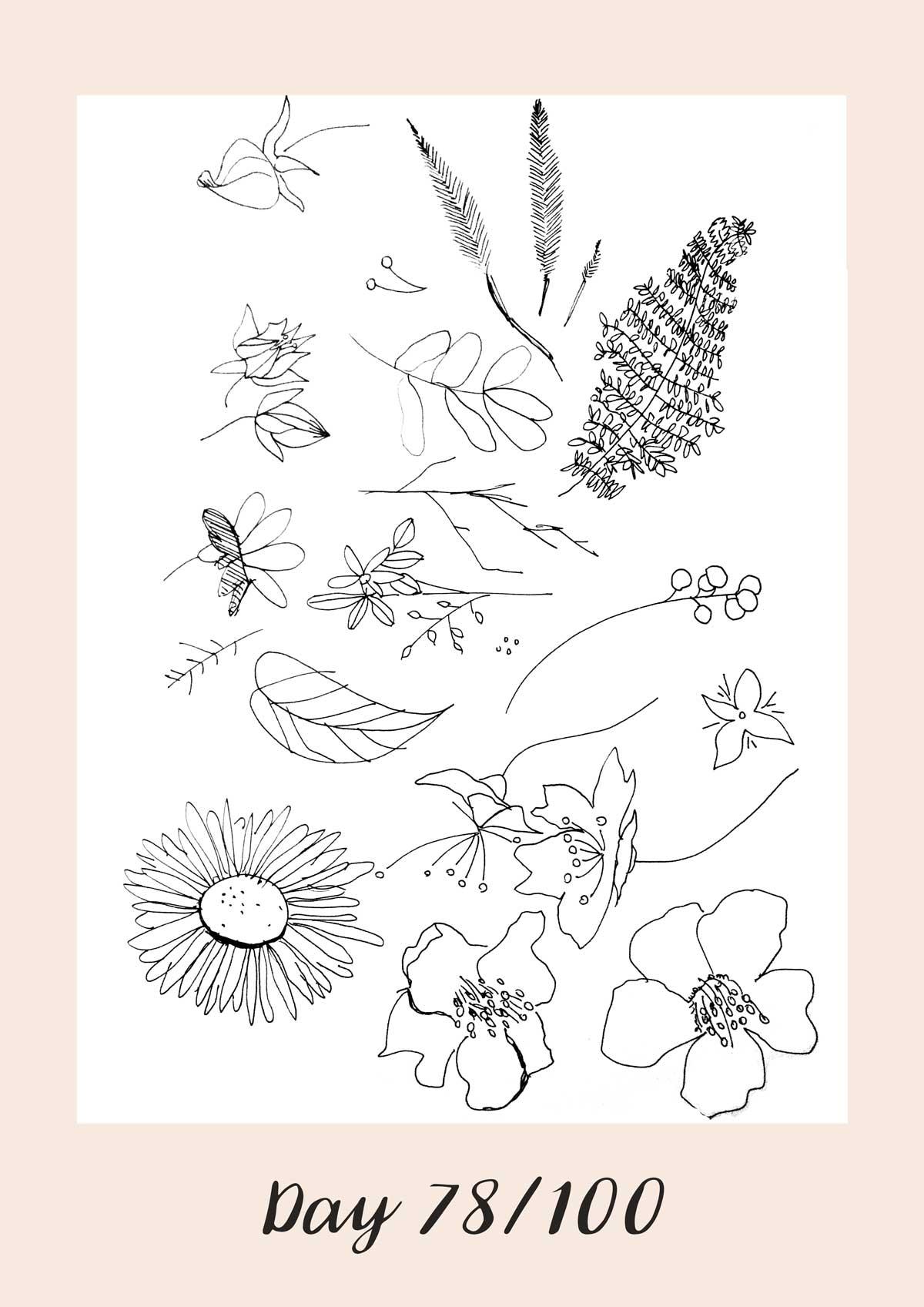 *COMPLETE* 100 Days of Sketching (Updated March 10th, Day 100/100) - image 92 - student project