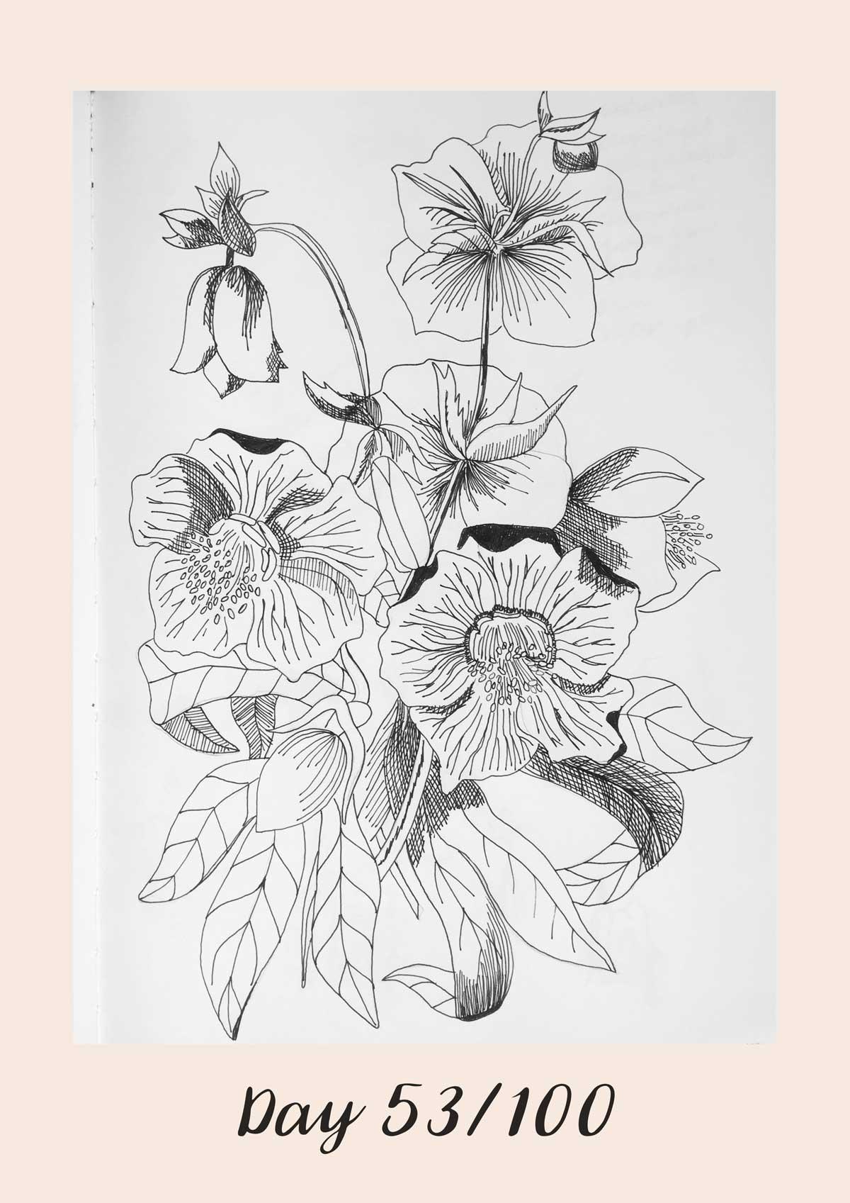 *COMPLETE* 100 Days of Sketching (Updated March 10th, Day 100/100) - image 47 - student project