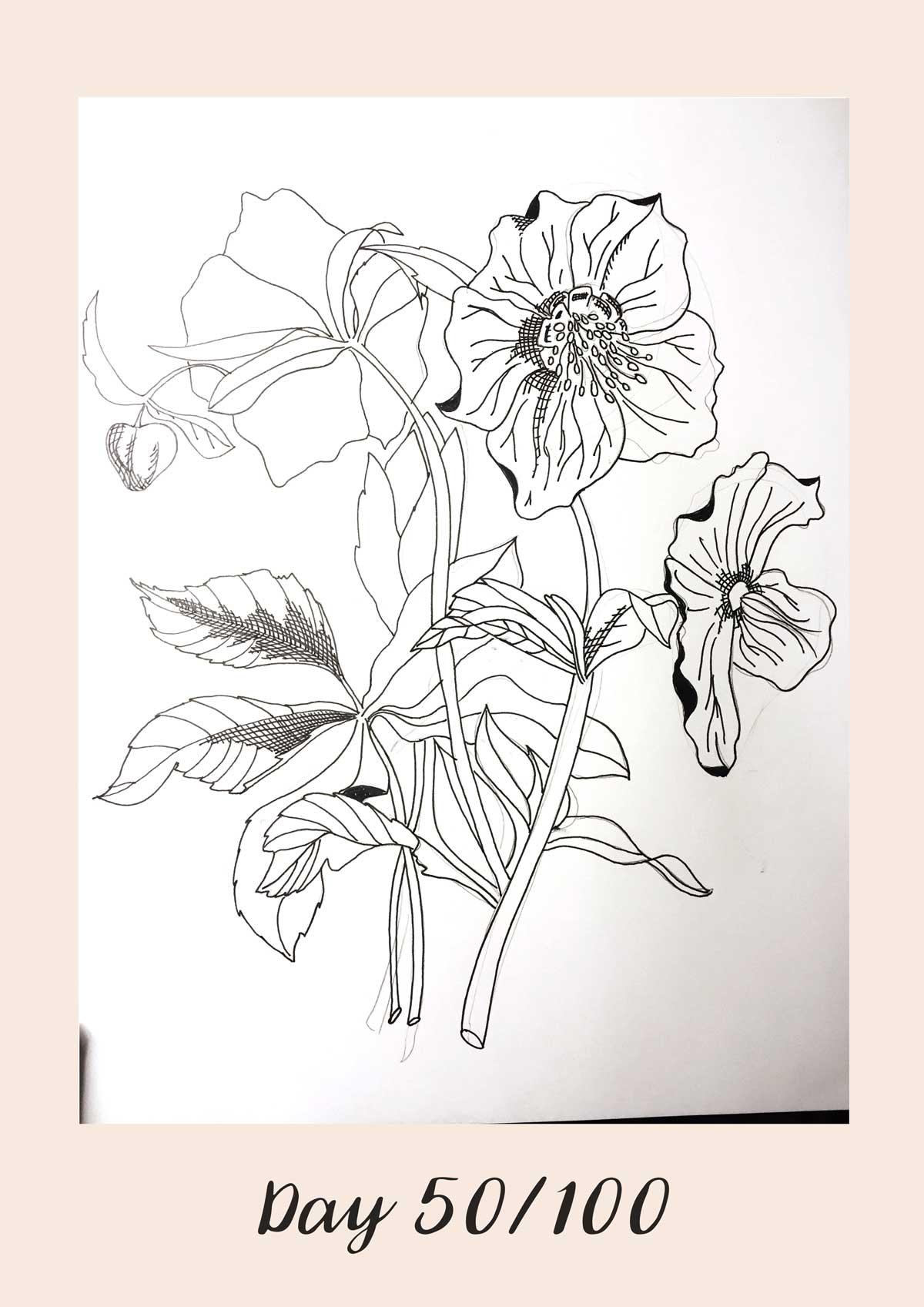 *COMPLETE* 100 Days of Sketching (Updated March 10th, Day 100/100) - image 44 - student project