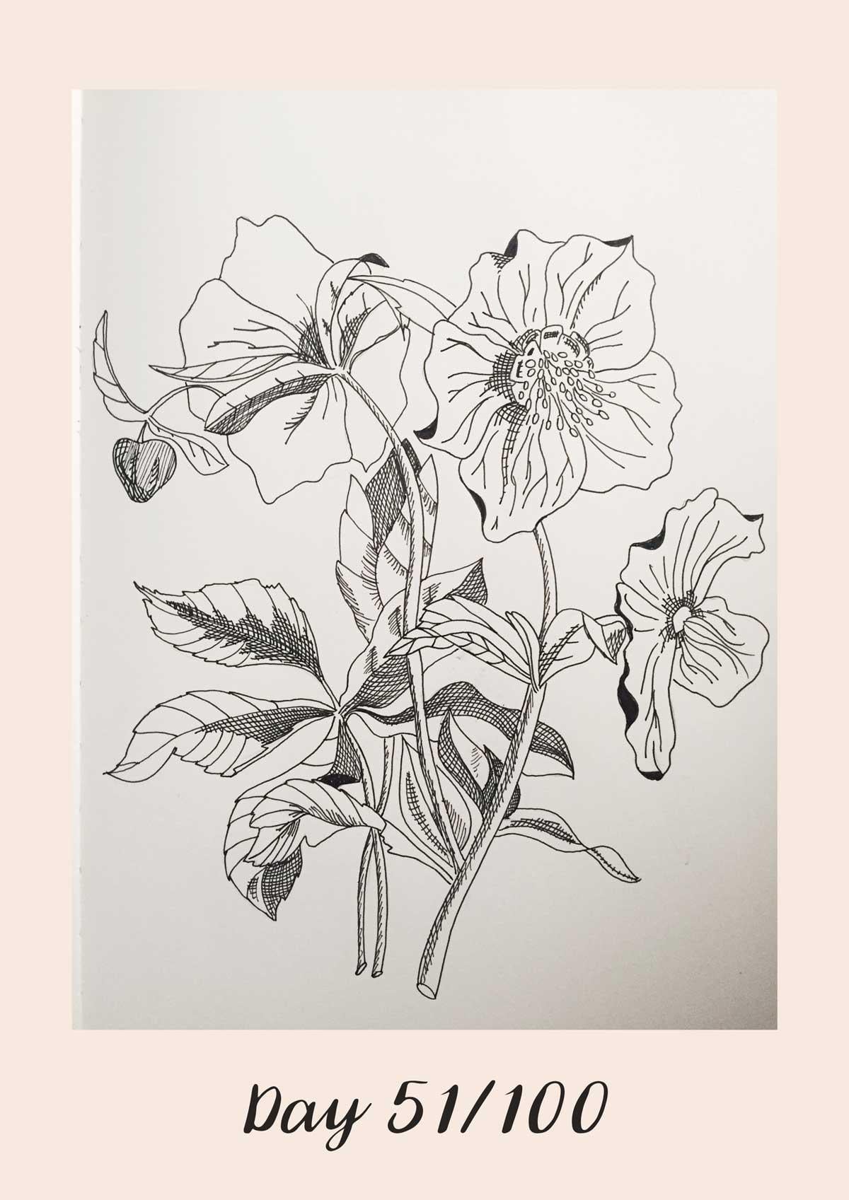 *COMPLETE* 100 Days of Sketching (Updated March 10th, Day 100/100) - image 45 - student project