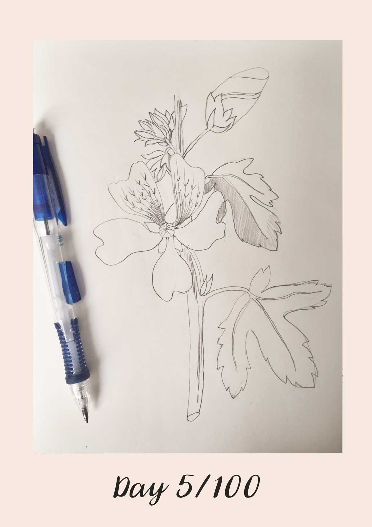 *COMPLETE* 100 Days of Sketching (Updated March 10th, Day 100/100) - image 6 - student project