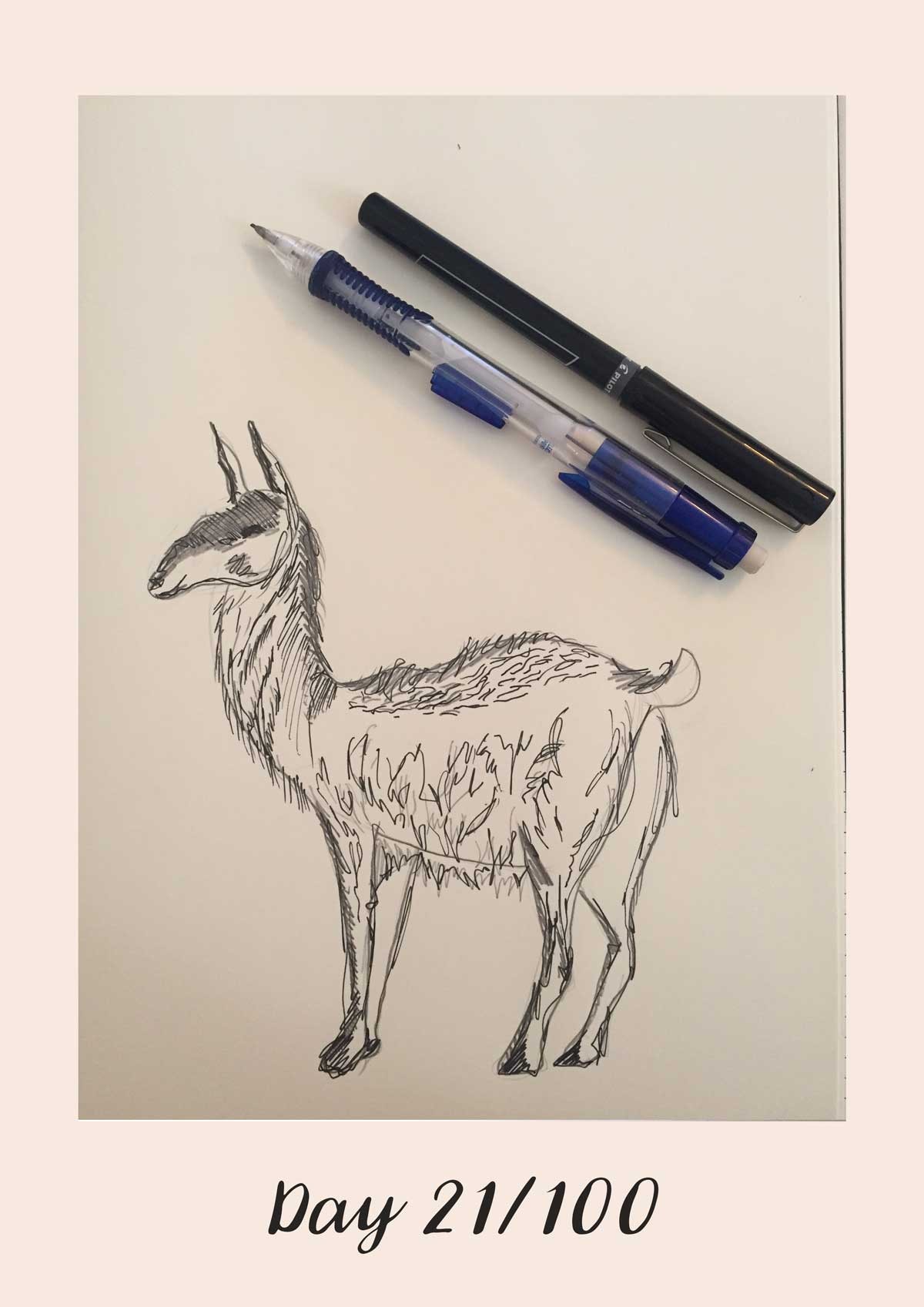 *COMPLETE* 100 Days of Sketching (Updated March 10th, Day 100/100) - image 22 - student project