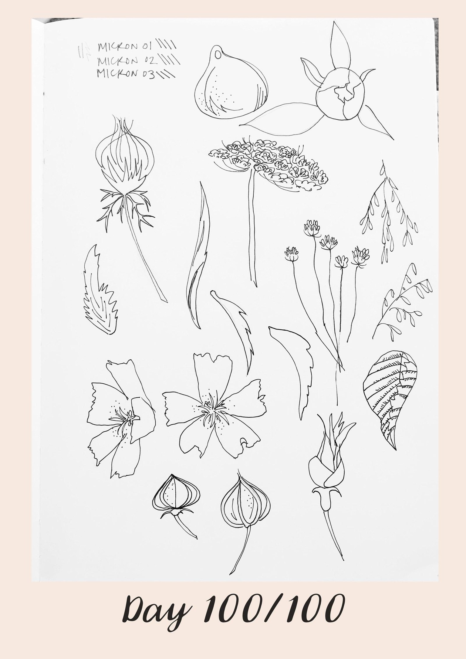 *COMPLETE* 100 Days of Sketching (Updated March 10th, Day 100/100) - image 120 - student project