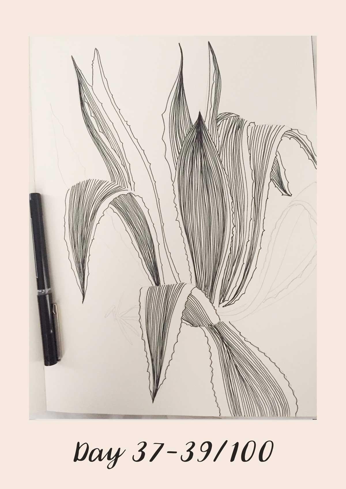 *COMPLETE* 100 Days of Sketching (Updated March 10th, Day 100/100) - image 34 - student project