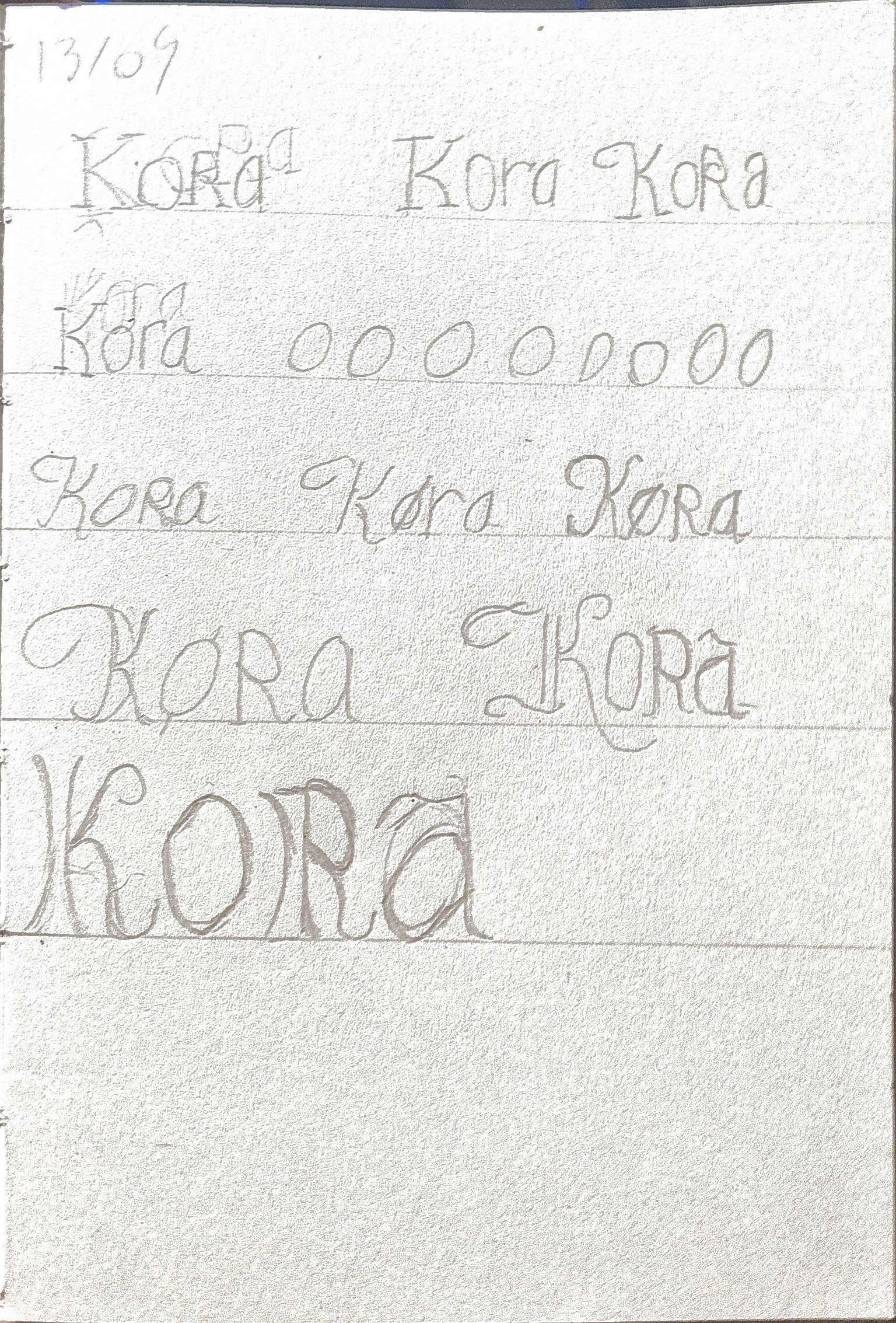 Drawing Custom Lettering: Concept to Final Vector and Beyond Class Project - image 3 - student project