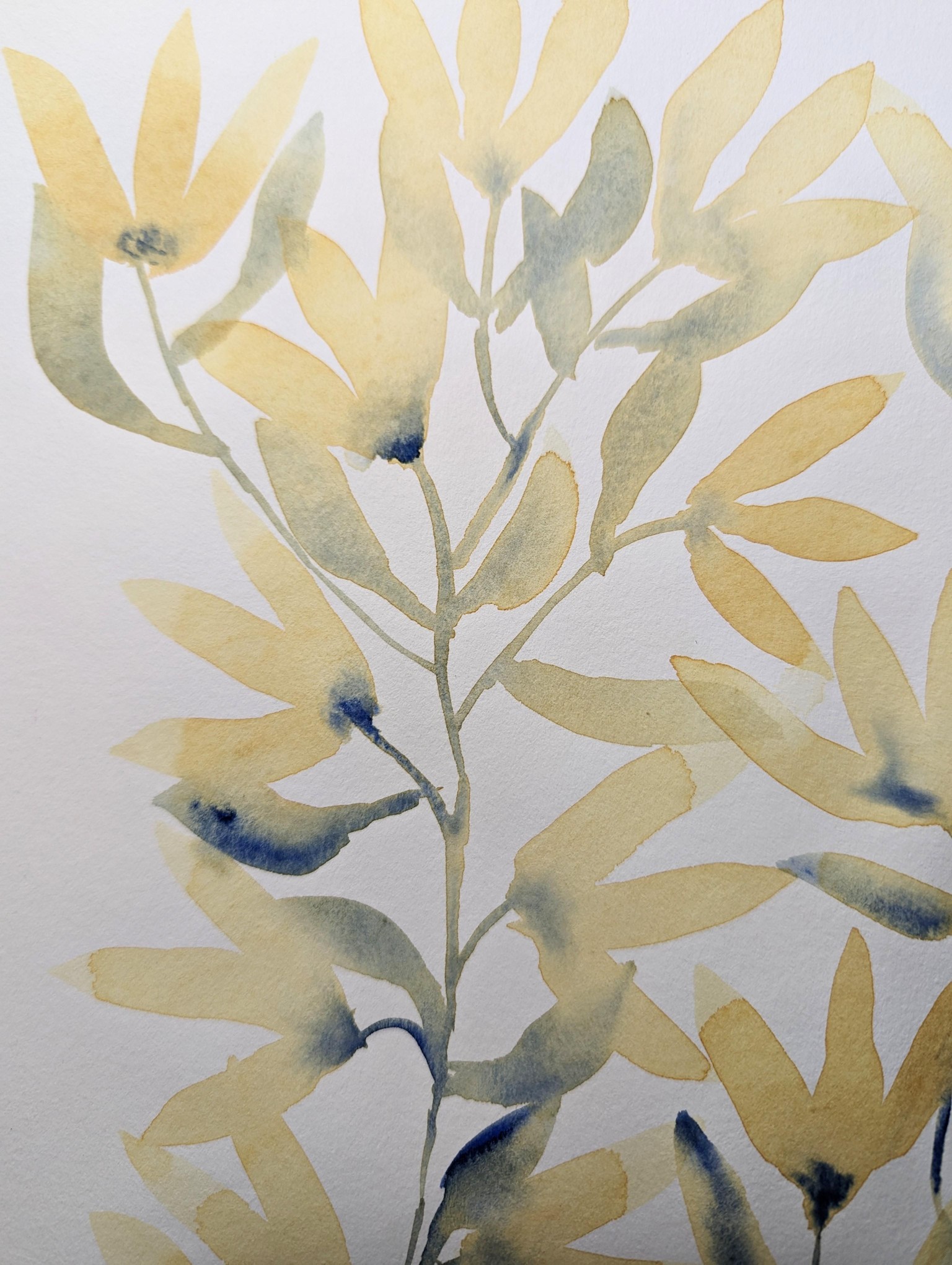 Love the Color Combos - image 2 - student project