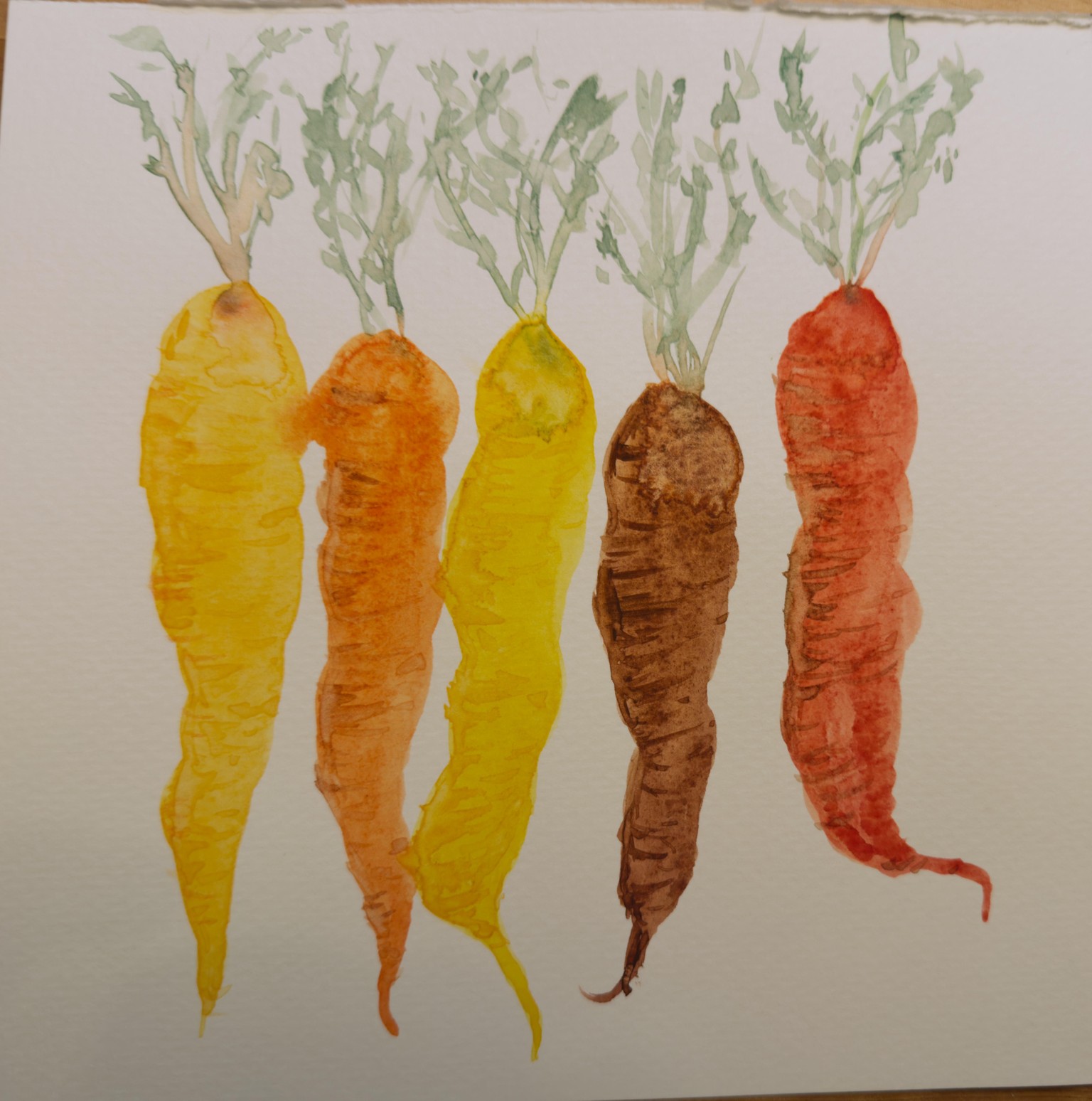 Veggie Practice - image 4 - student project