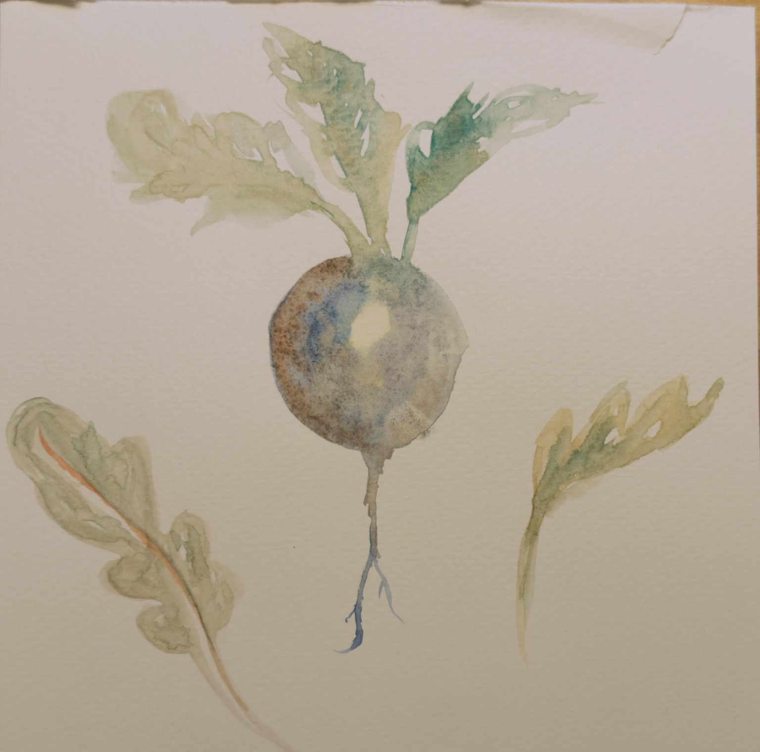 Veggie Practice - image 2 - student project