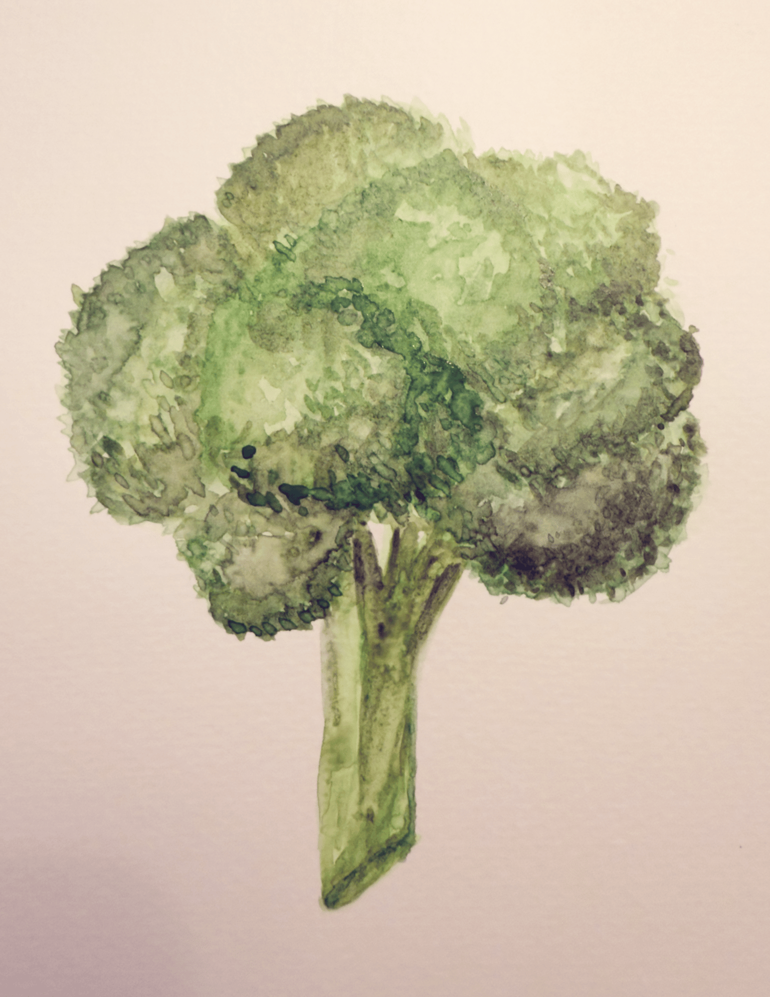 Veggie Practice - image 1 - student project