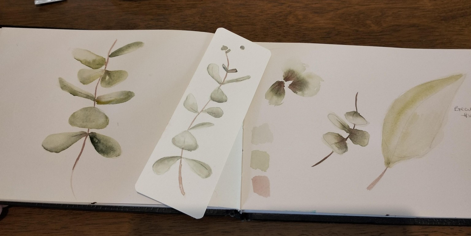 Dollar Eucalyptus in watercolour - image 1 - student project