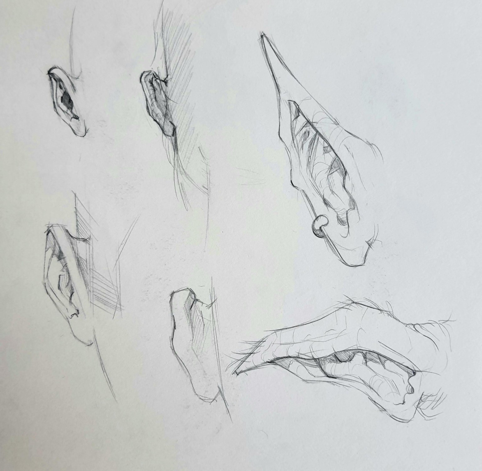 Drawing Ears: Human and Humanoid - image 2 - student project