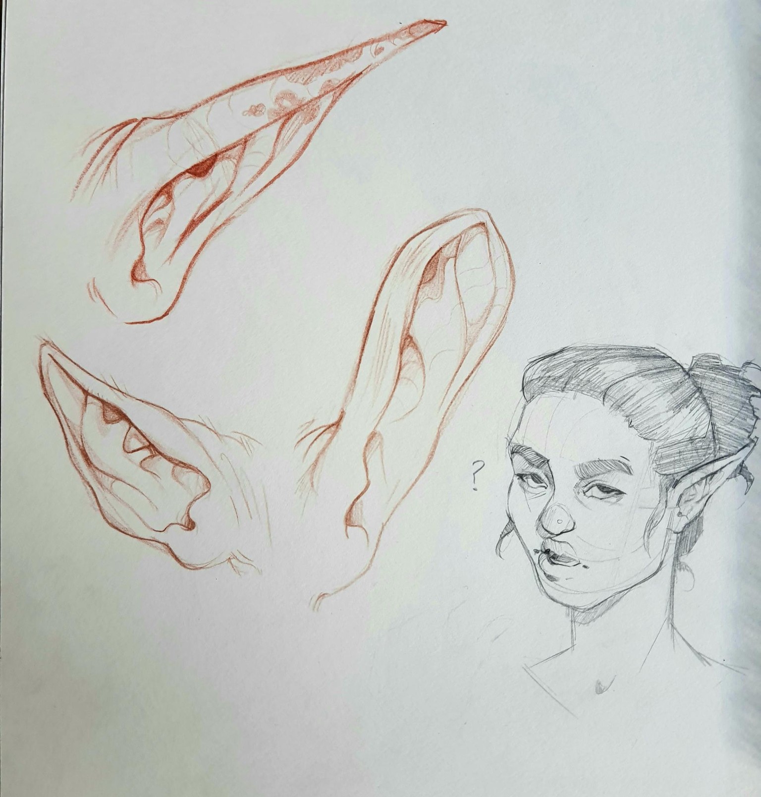 Drawing Ears: Human and Humanoid - image 4 - student project