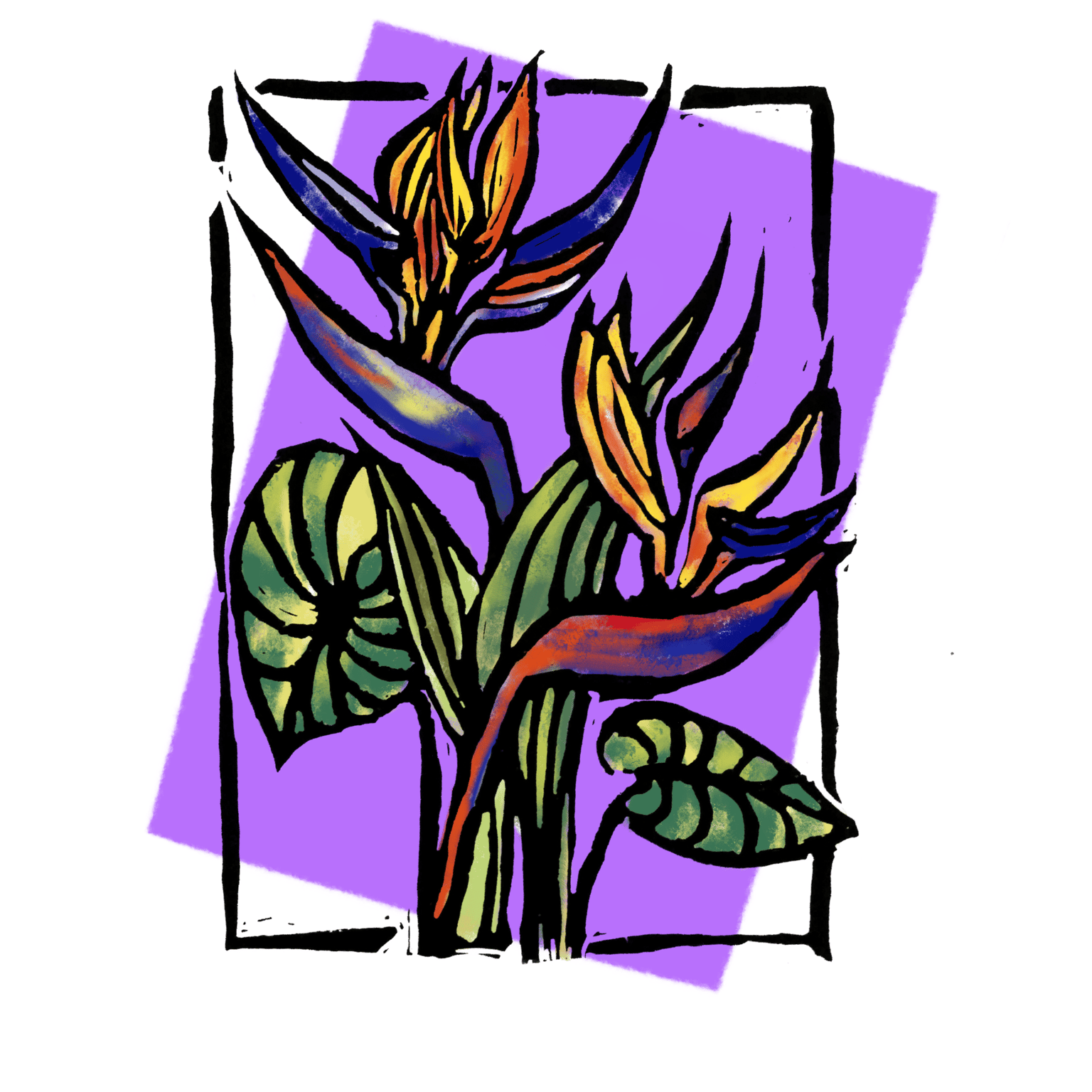 Bird of Paradise - image 3 - student project