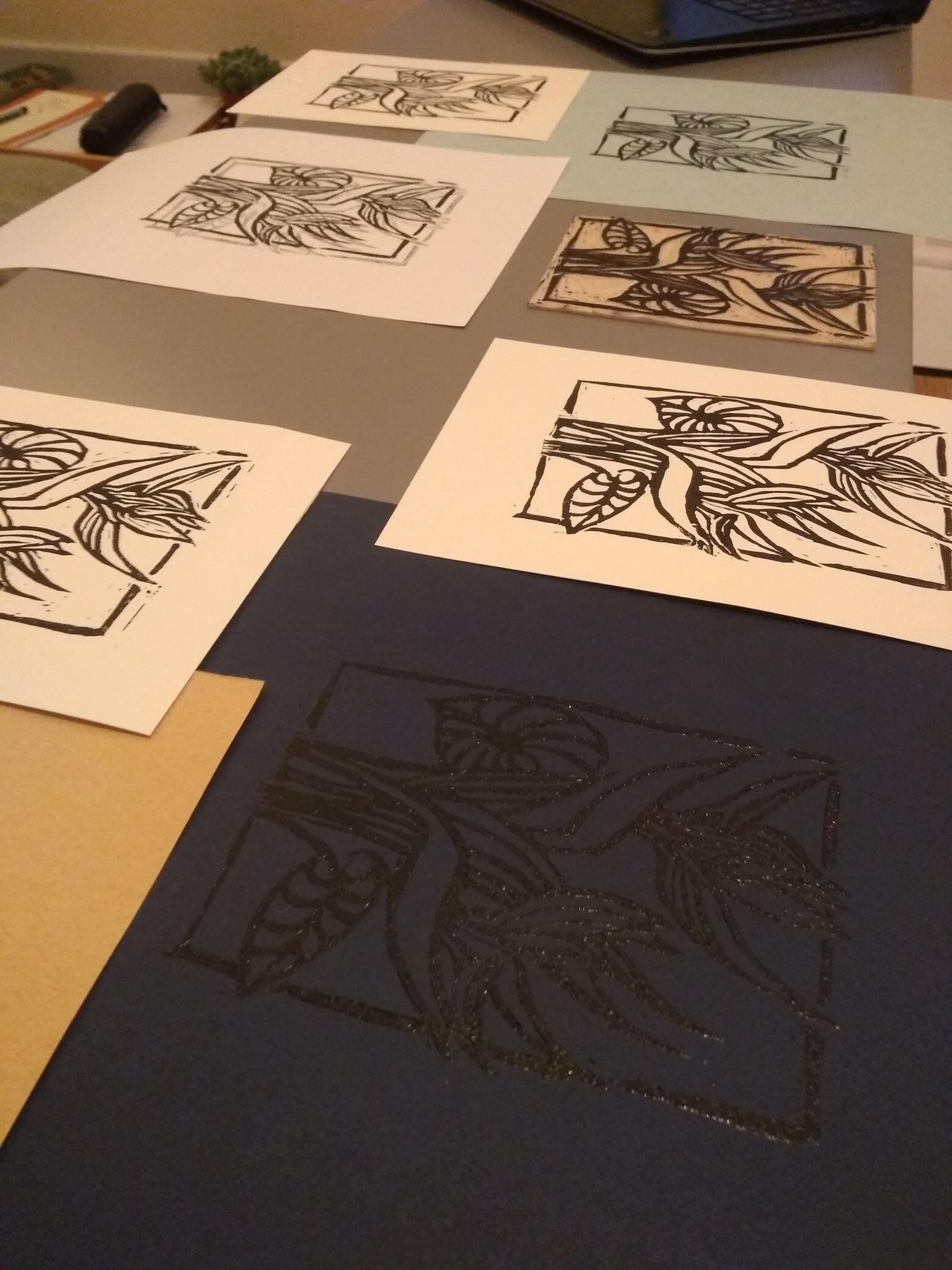 Bird of Paradise - image 1 - student project