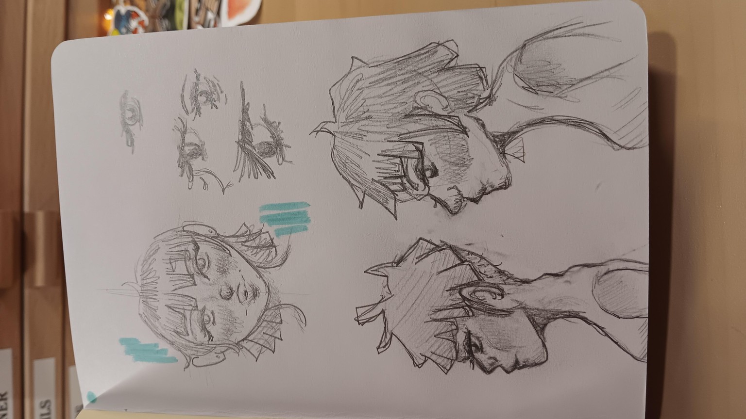 Head proportion, emotions and hair - image 1 - student project