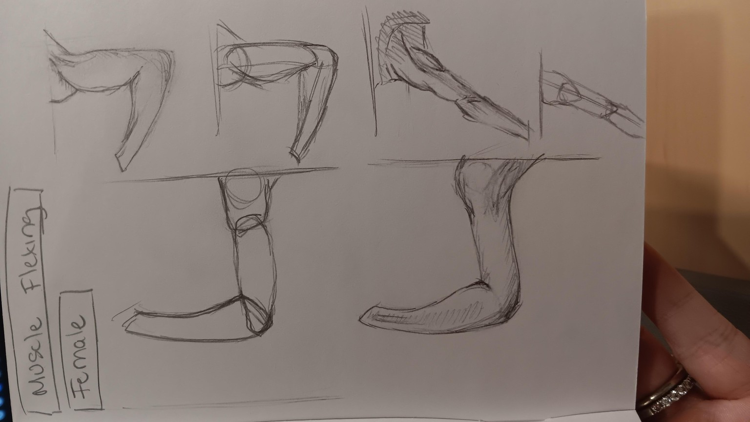 Arm Muscle Practice Lesson - image 3 - student project