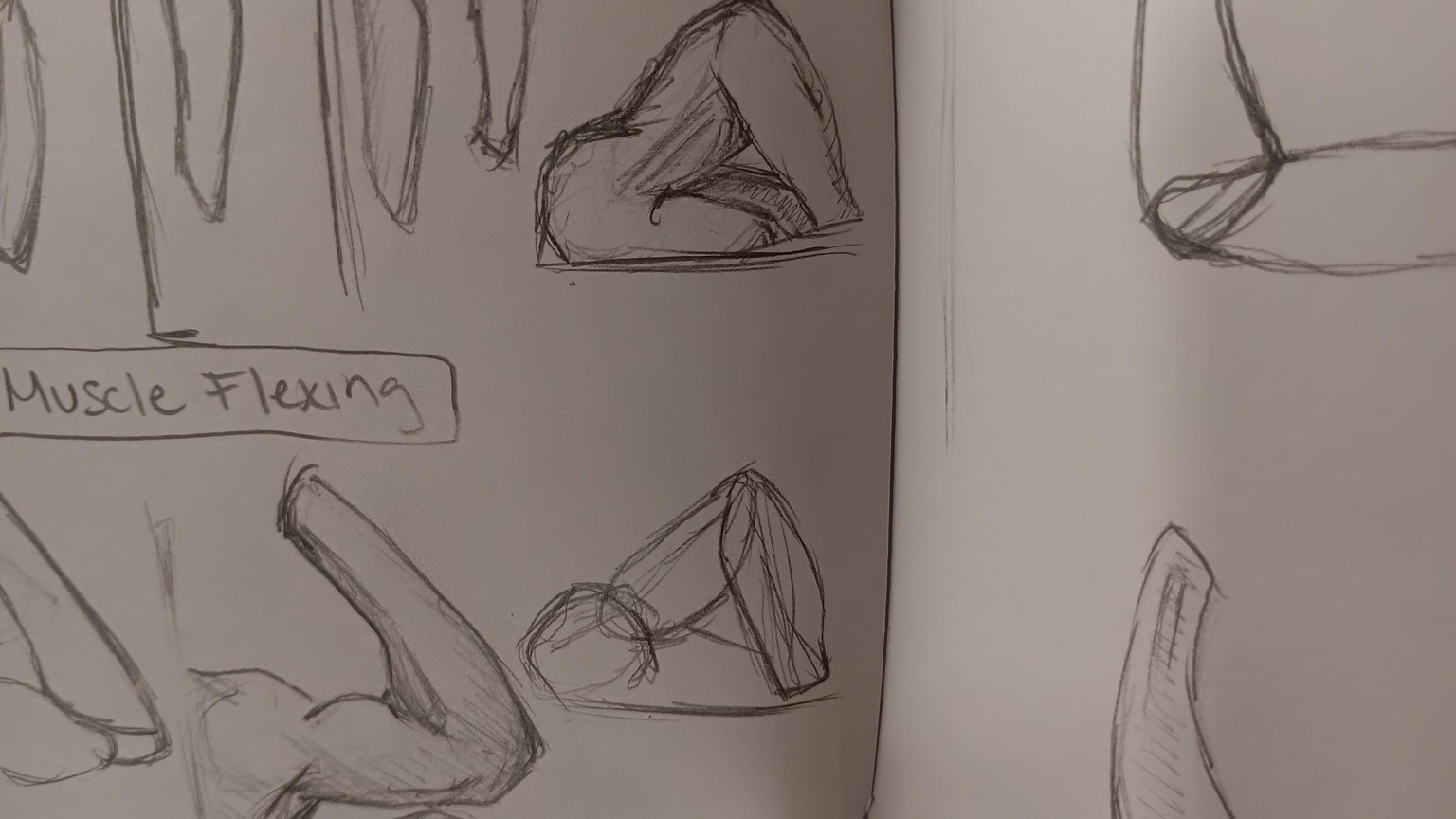 Arm Muscle Practice Lesson - image 2 - student project