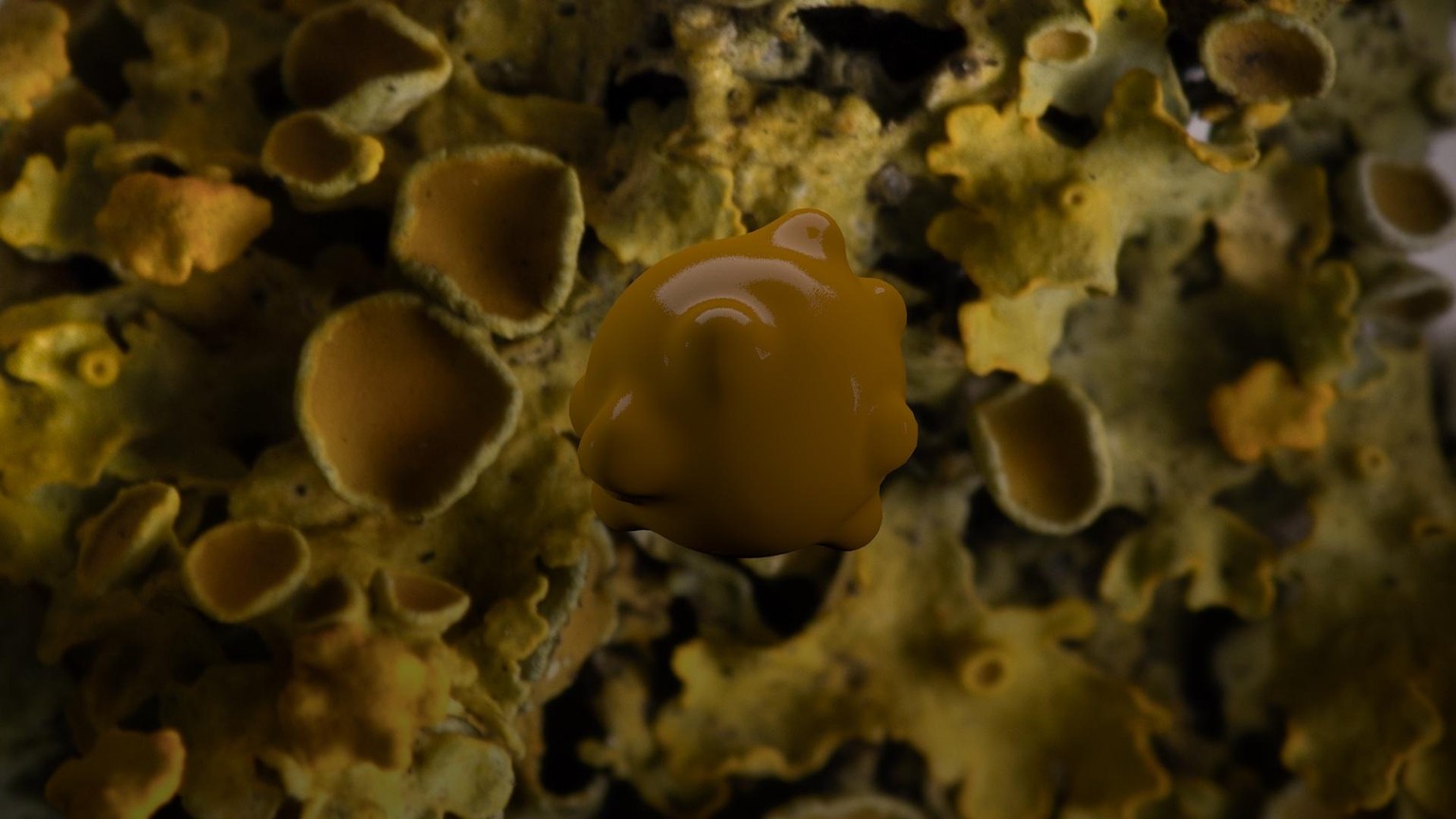 Geo boil effect - Images inspired by nature - image 1 - student project