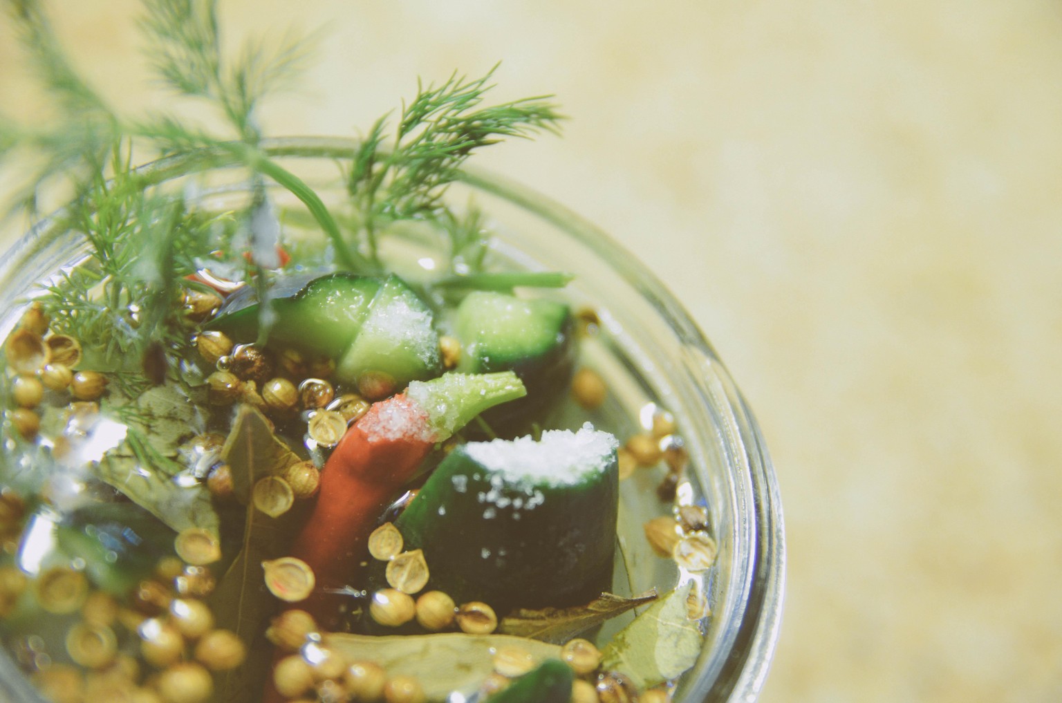 Just a good old ginger, orange, chili pickle - image 2 - student project