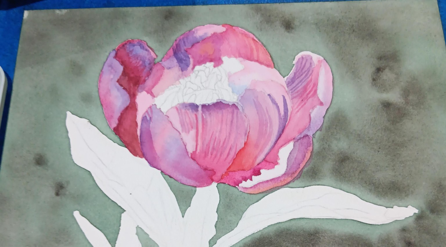 Peony  in Water Colour - image 3 - student project