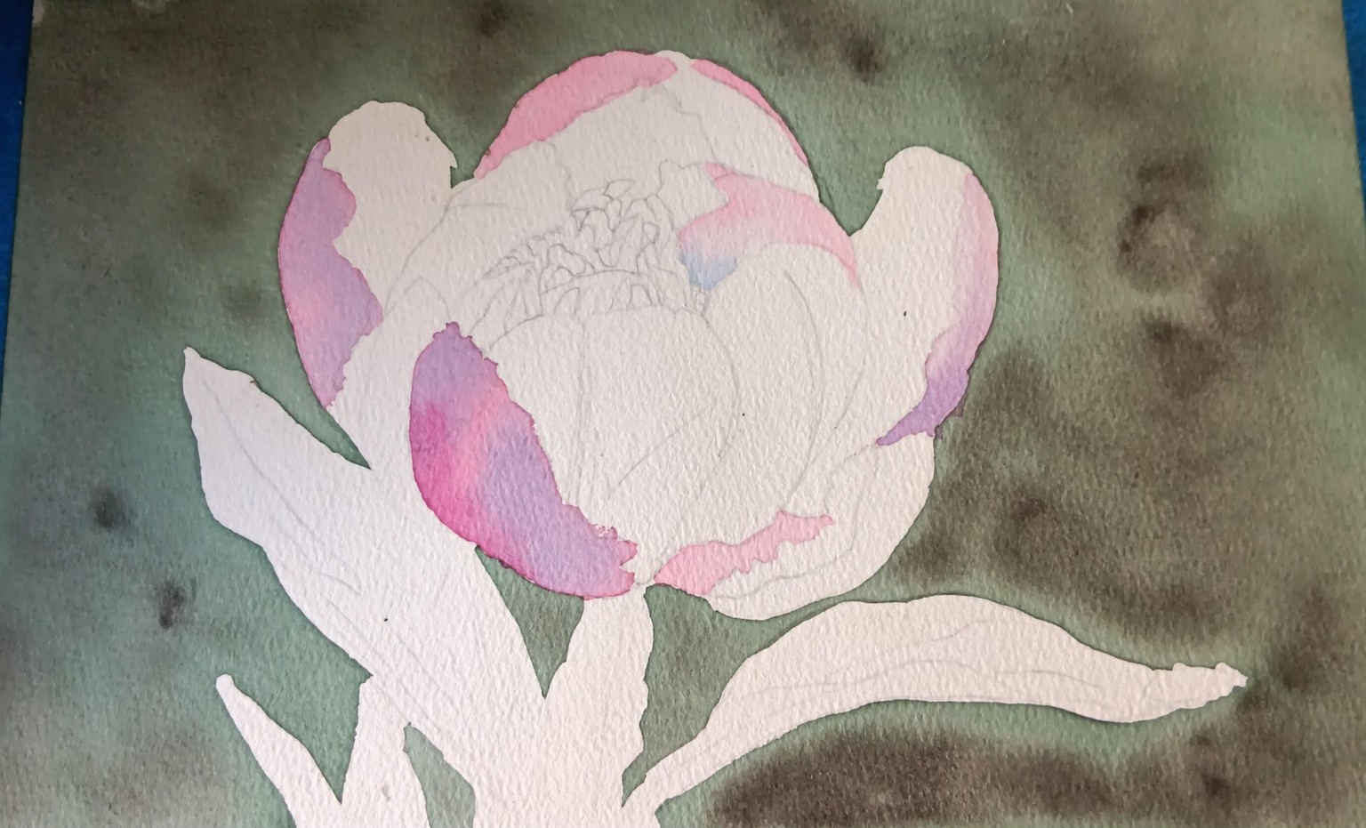 Peony  in Water Colour - image 1 - student project