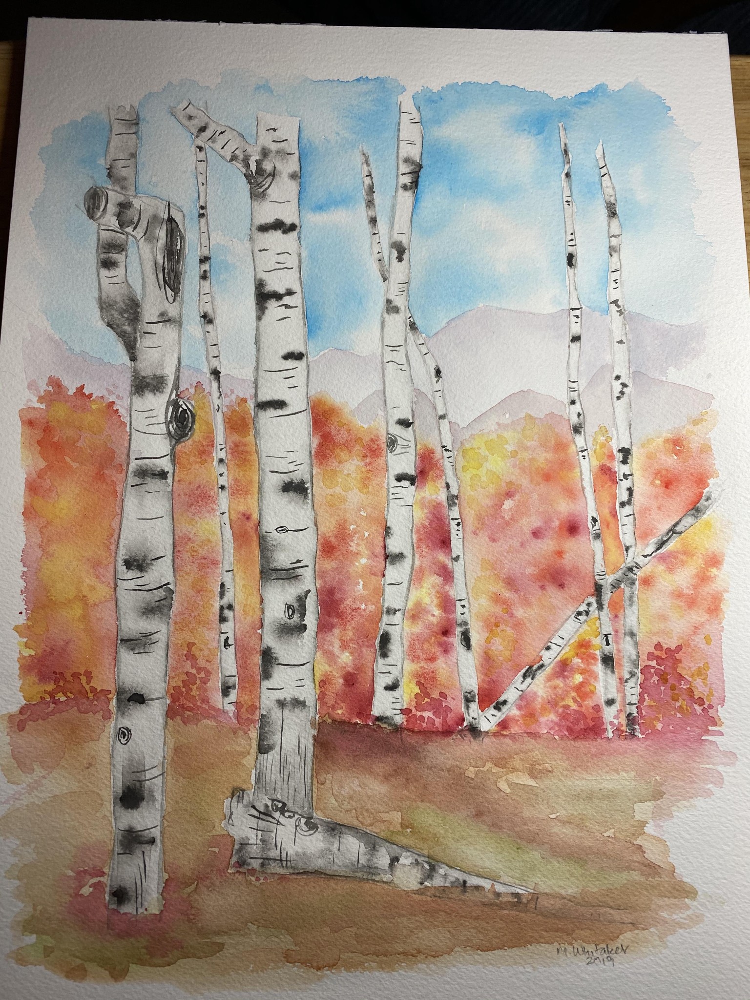 Autumn aspens - Basque grove on Peavine, Reno - image 1 - student project