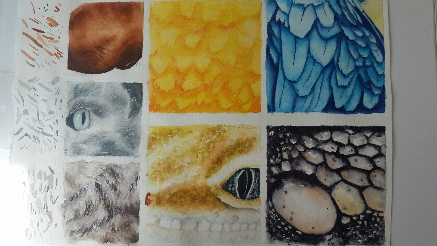 Textures - image 1 - student project