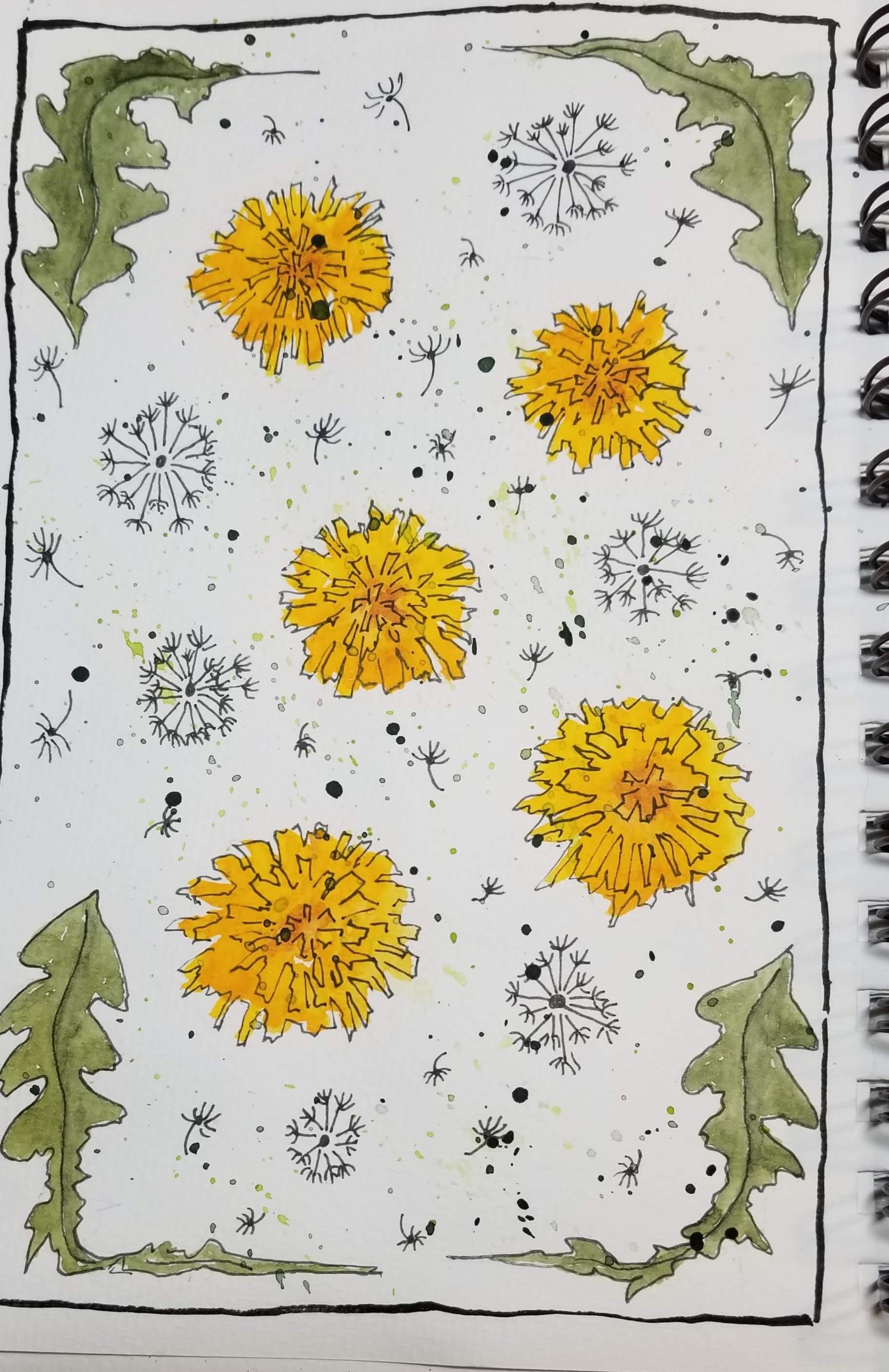 Nature Journaling Highlights - image 3 - student project