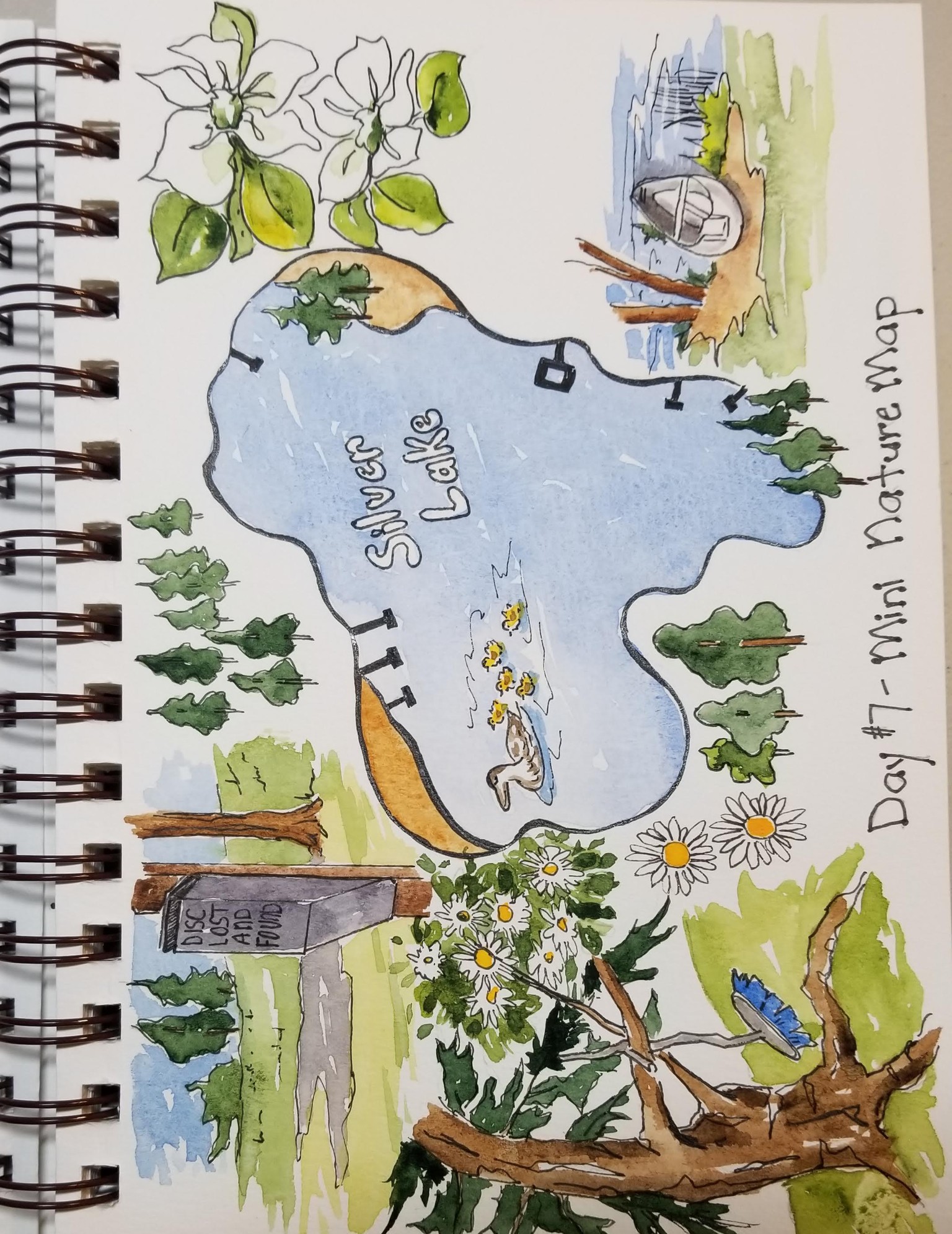 Nature Journaling Highlights - image 5 - student project