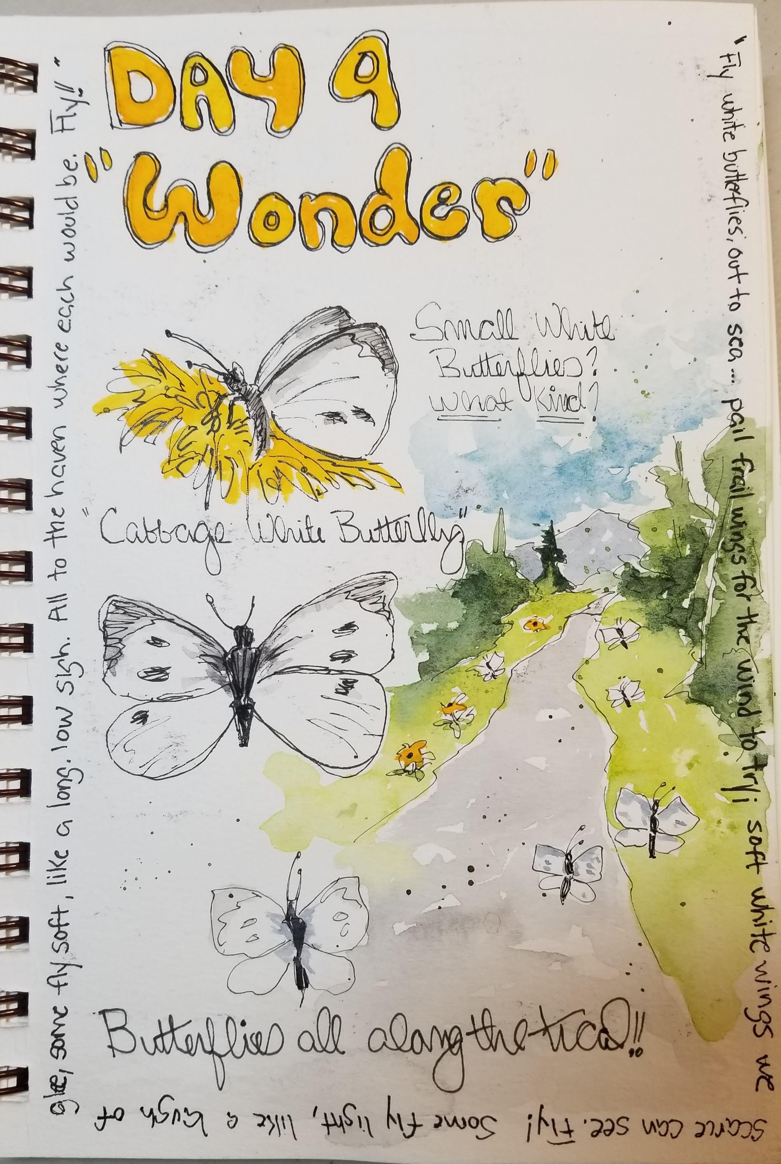 Nature Journaling Highlights - image 2 - student project