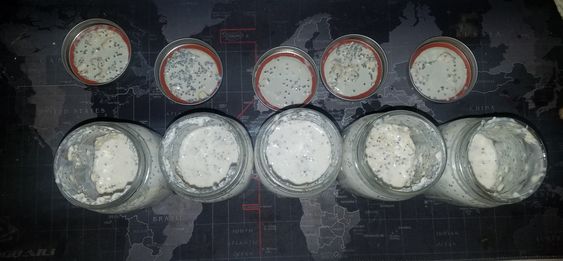 Overnight Oats Assignment... - image 2 - student project