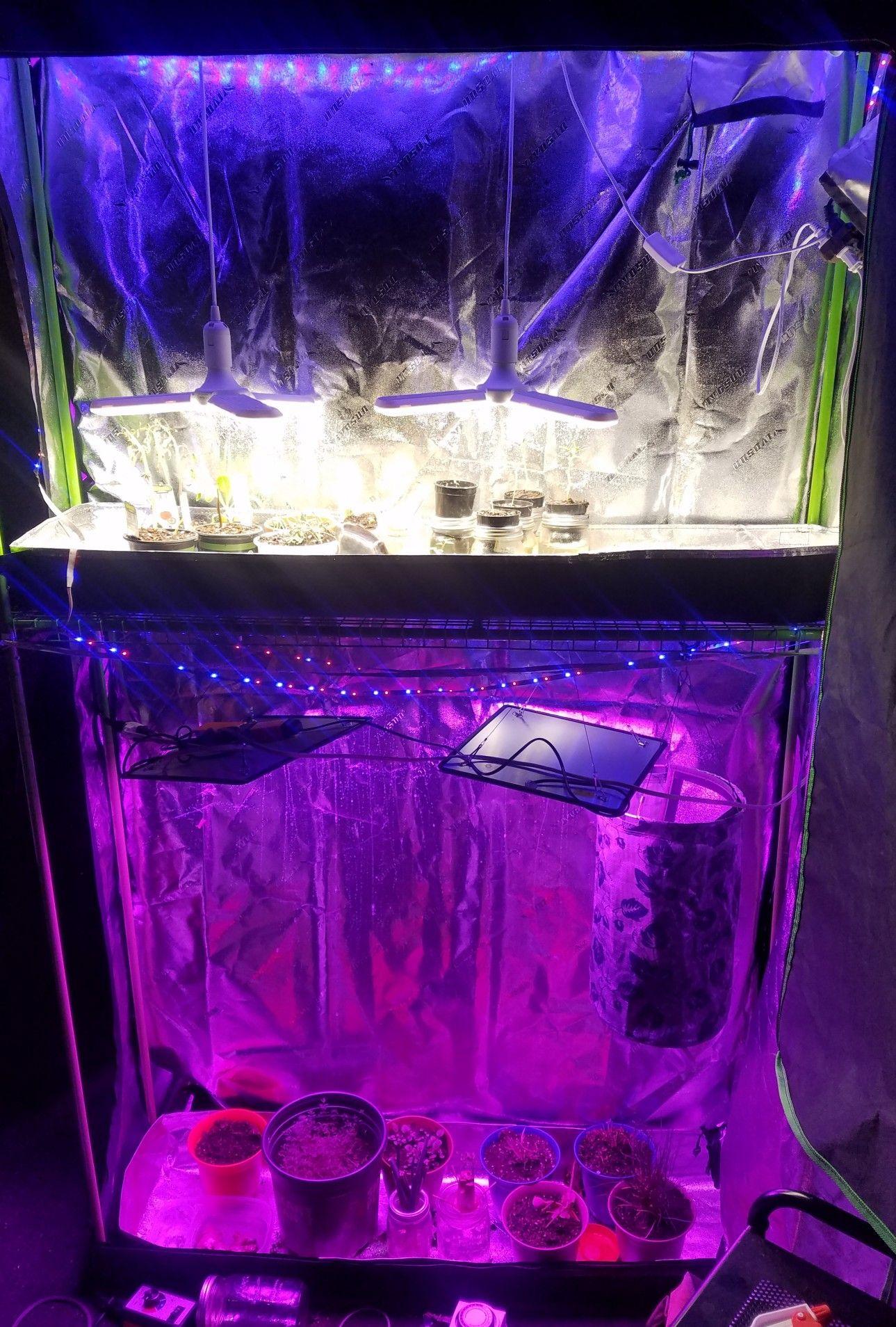 The Beginnings of a Seed Starting Shelf... - image 2 - student project