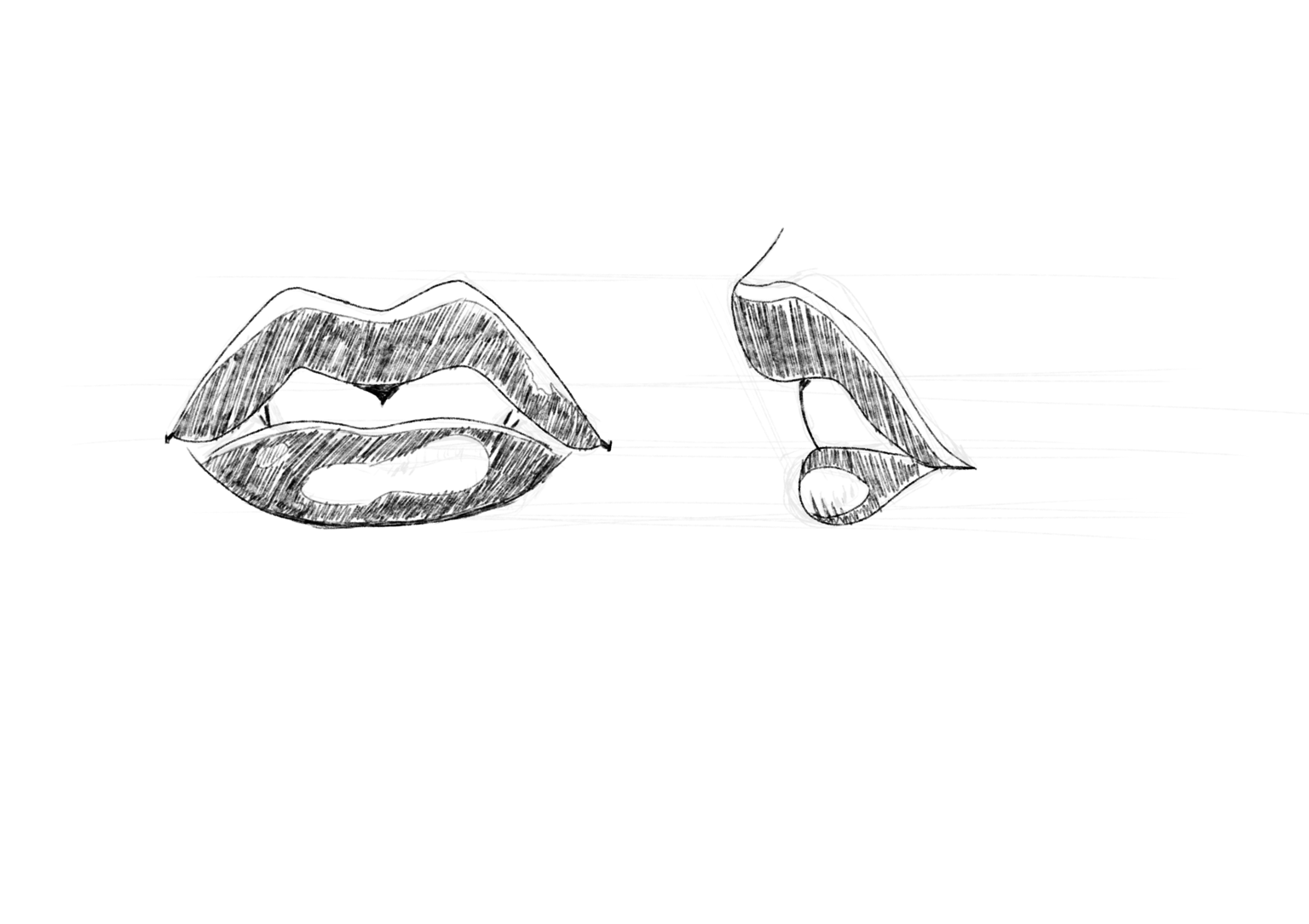 Understanding Line, Shape, and Form - image 1 - student project