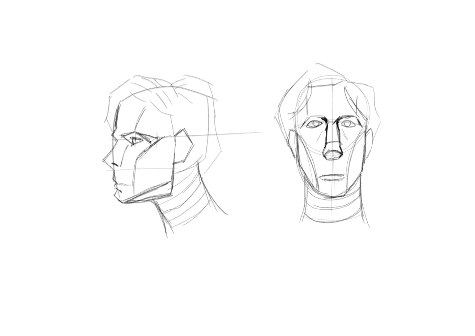 Beginner Figure Drawing - Drawing The Head - image 1 - student project
