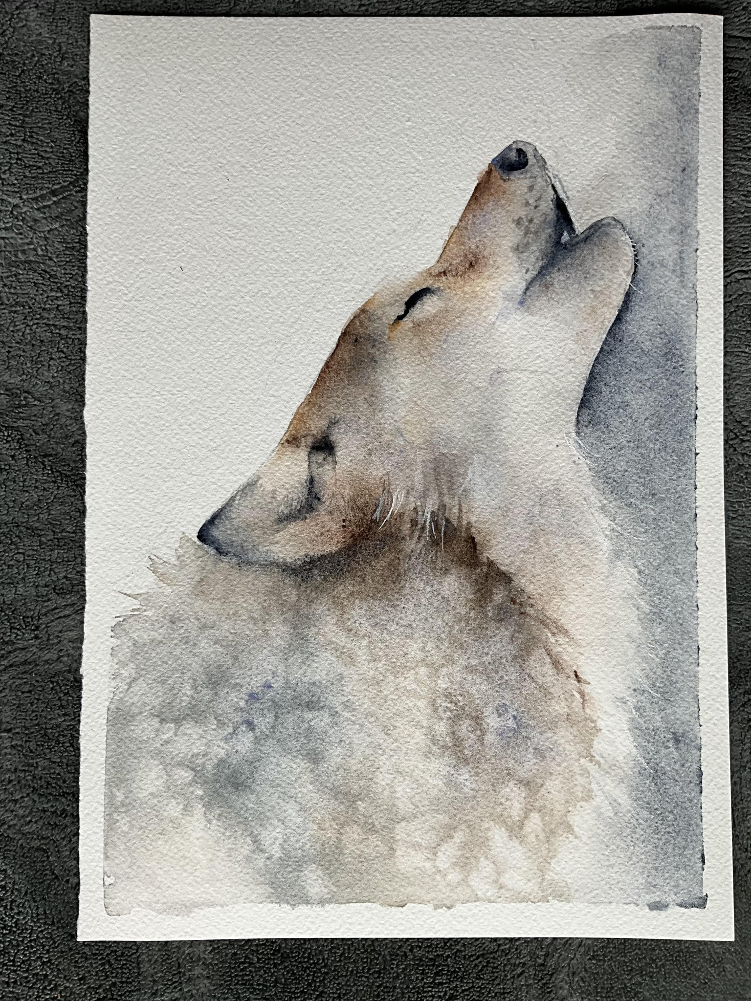Howling wolf - image 1 - student project