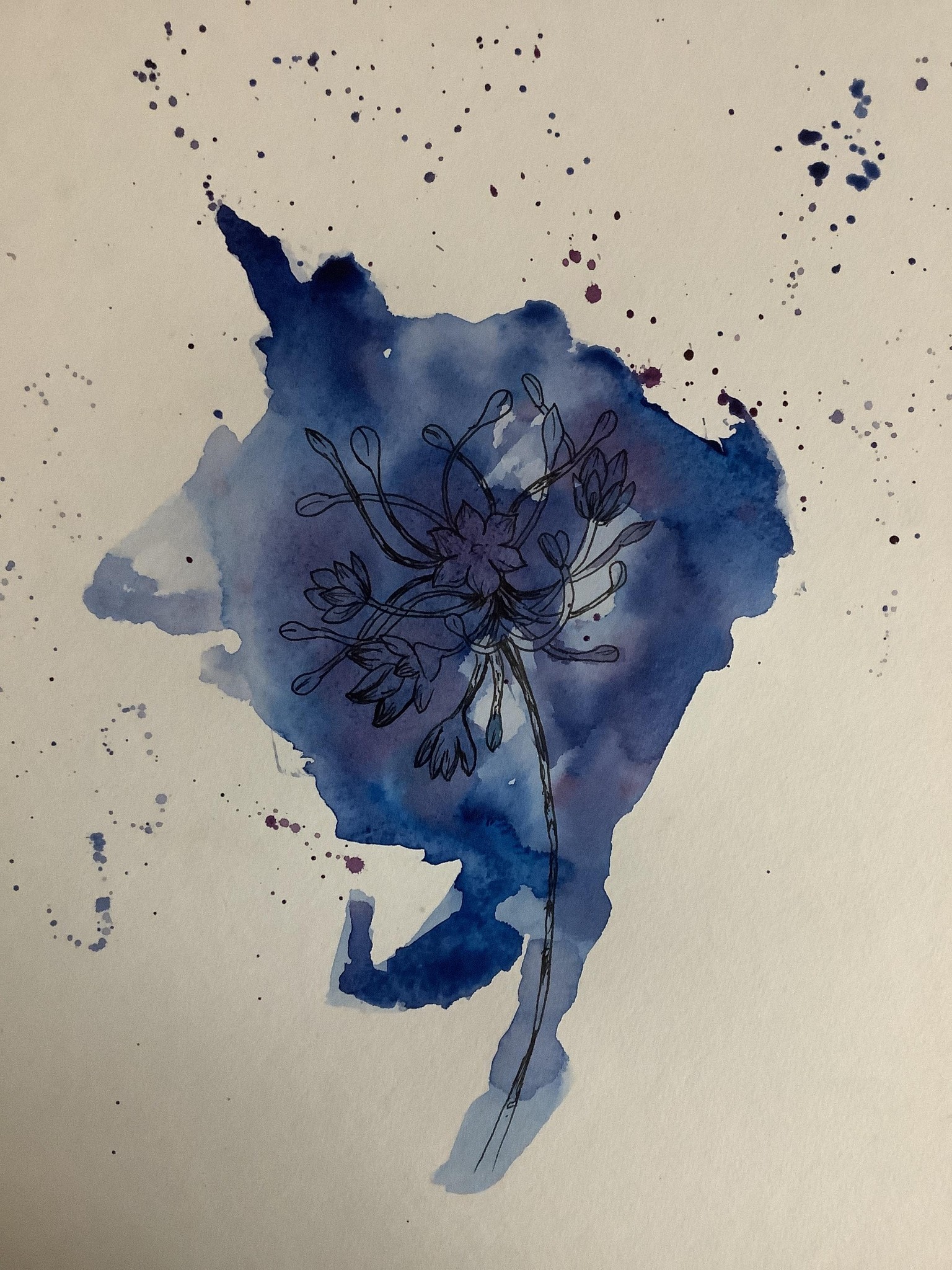 Agapanthus - image 1 - student project