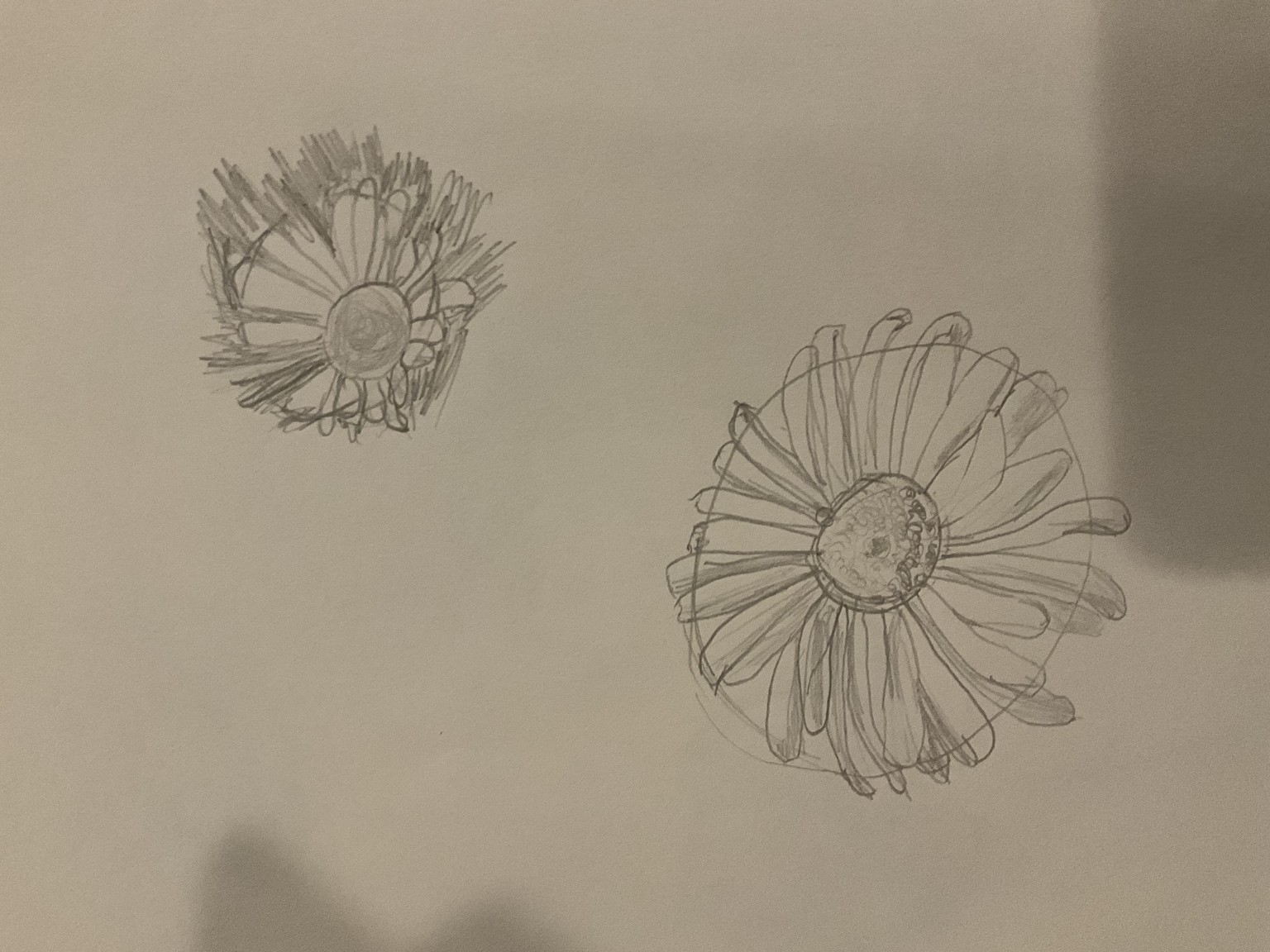 Drawing flowers - image 2 - student project