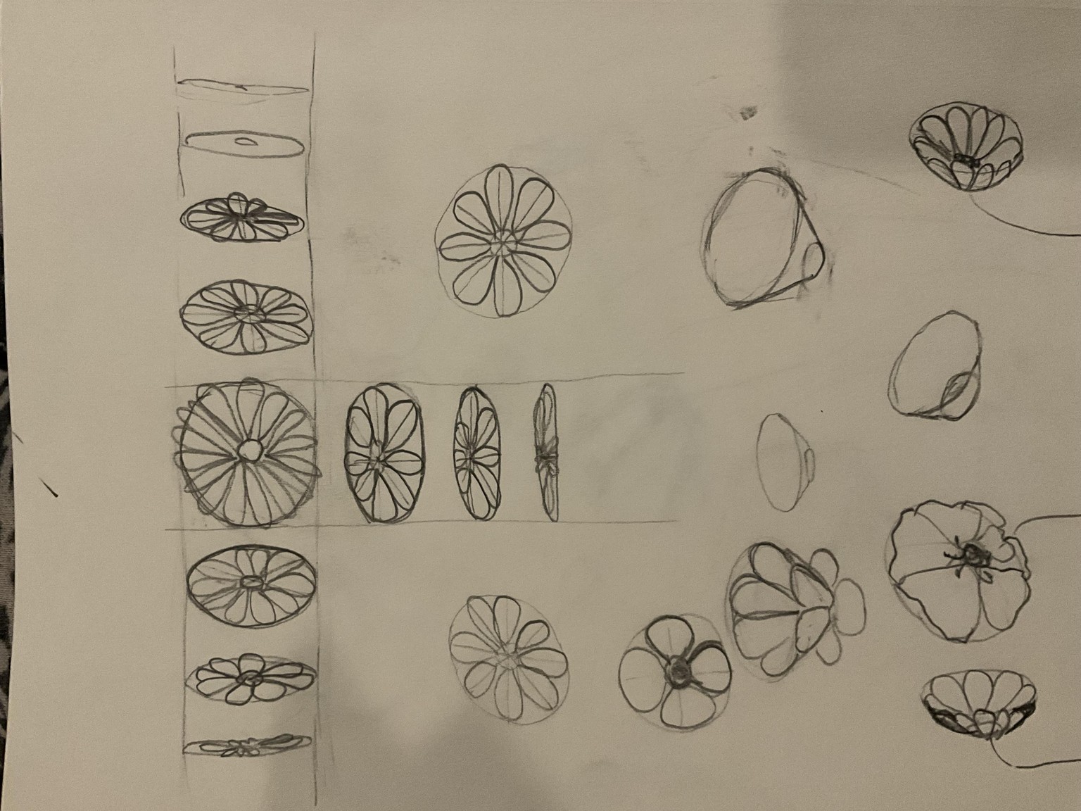 Drawing flowers - image 3 - student project