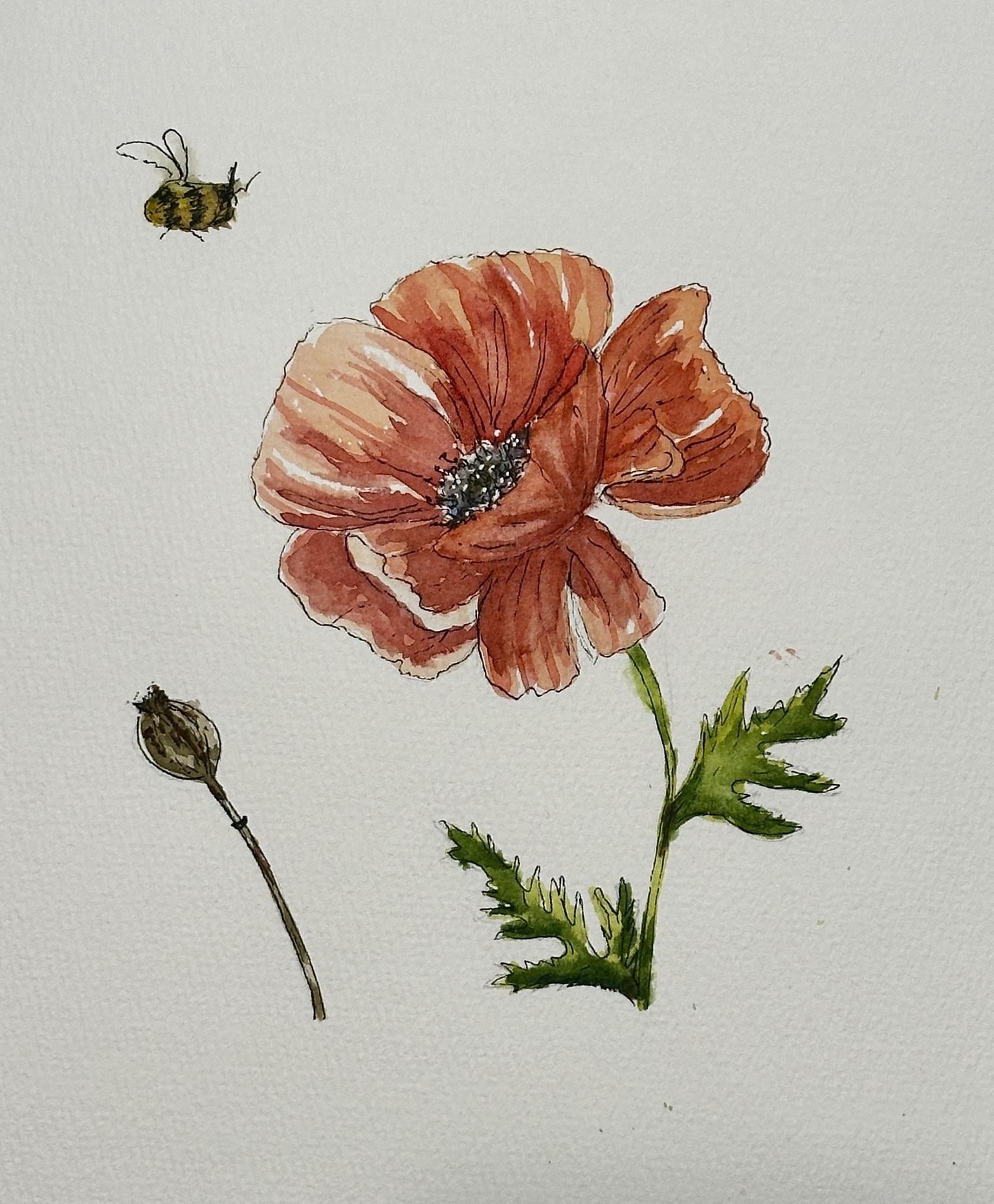 Poppies - image 1 - student project